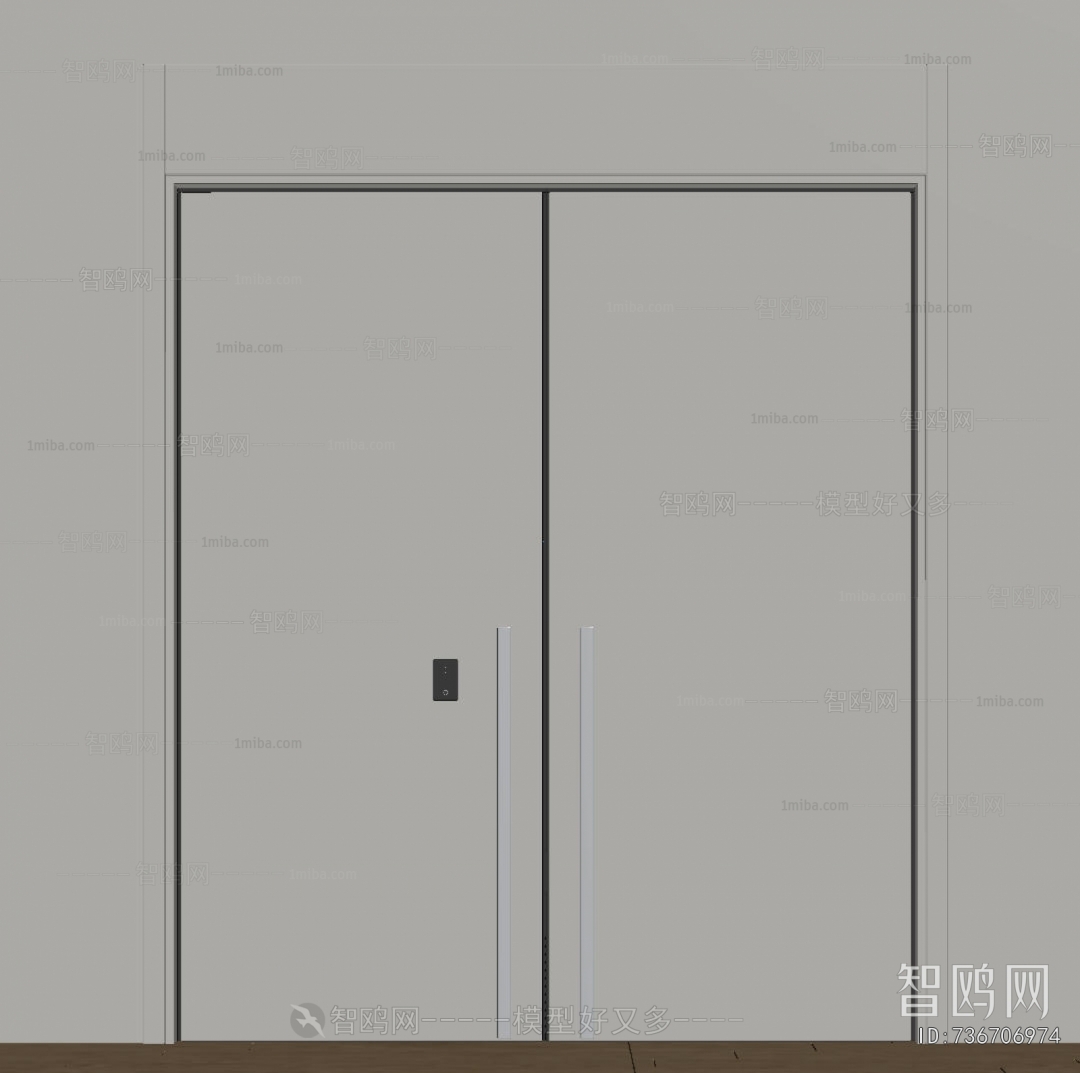 Modern Entrance Door