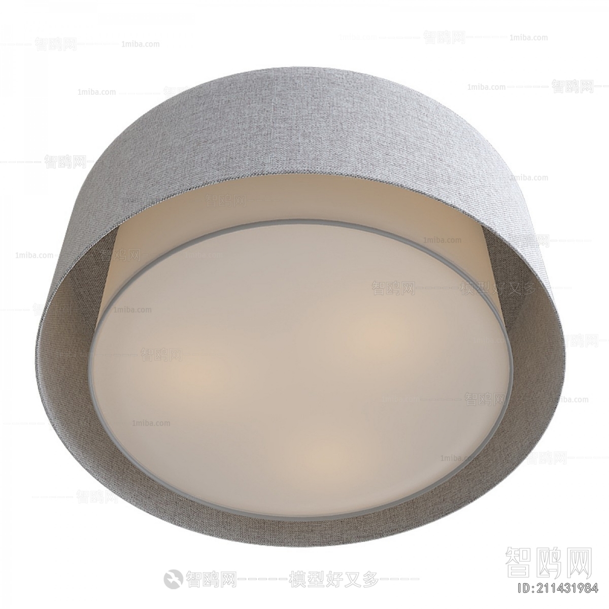 Modern Ceiling Ceiling Lamp