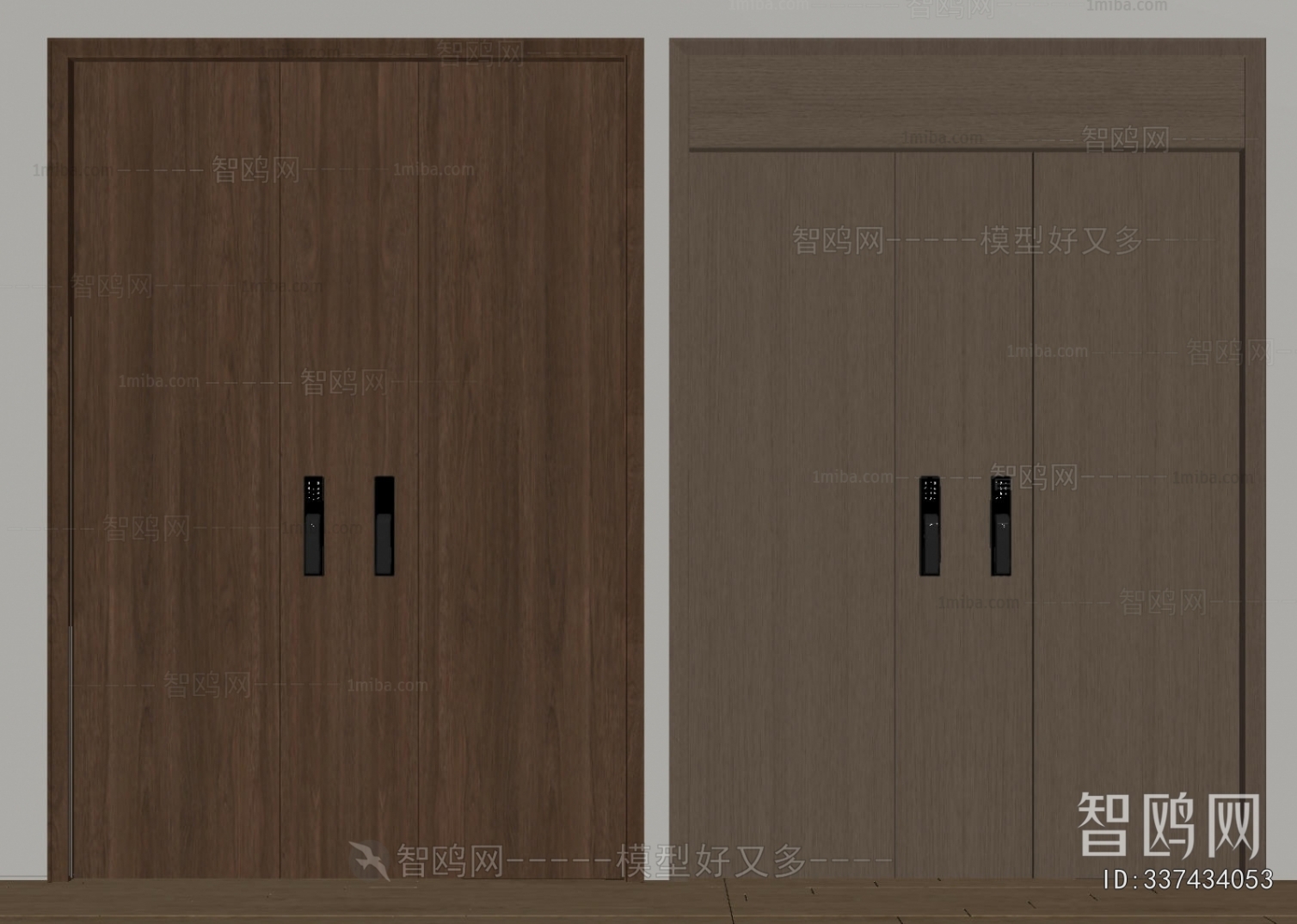 Modern Entrance Door