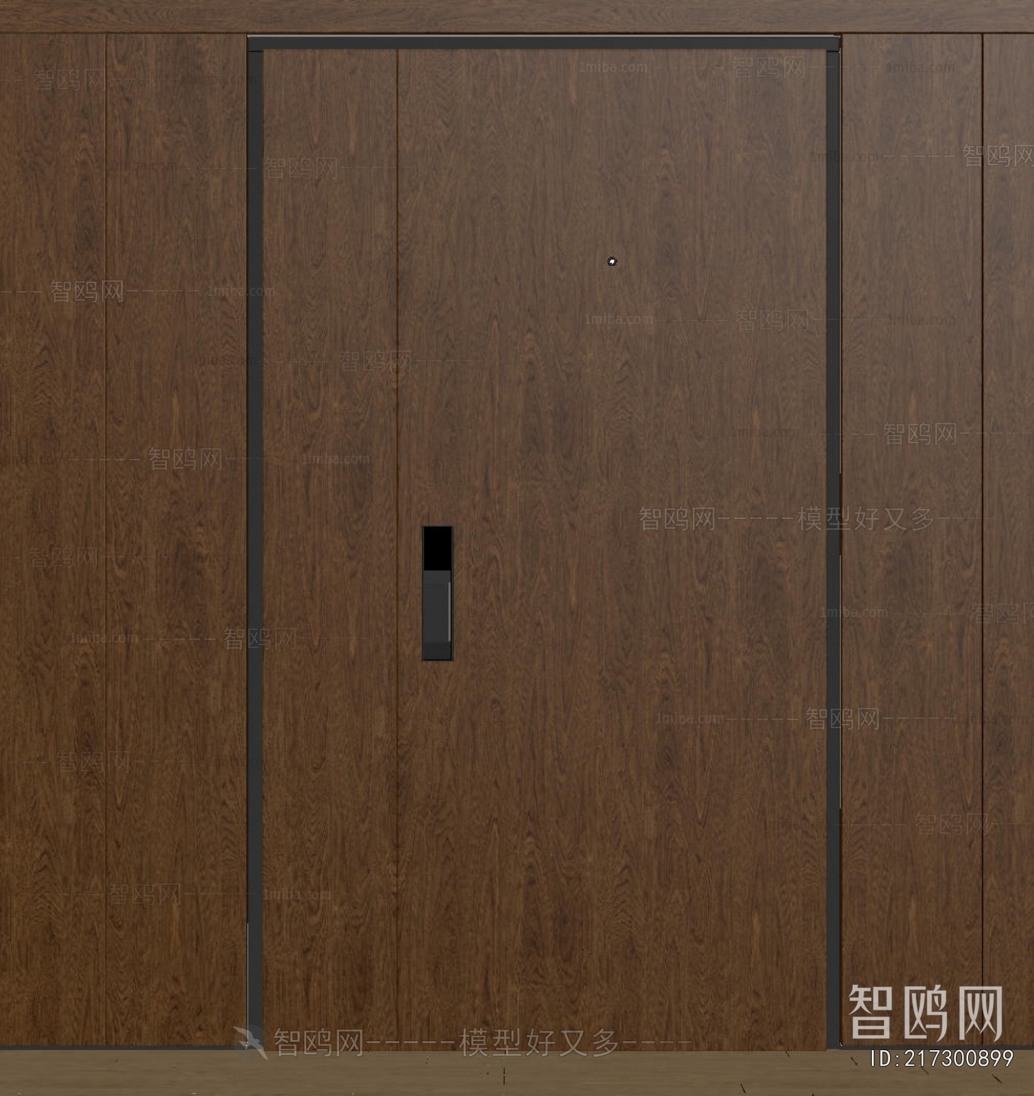 Modern Entrance Door