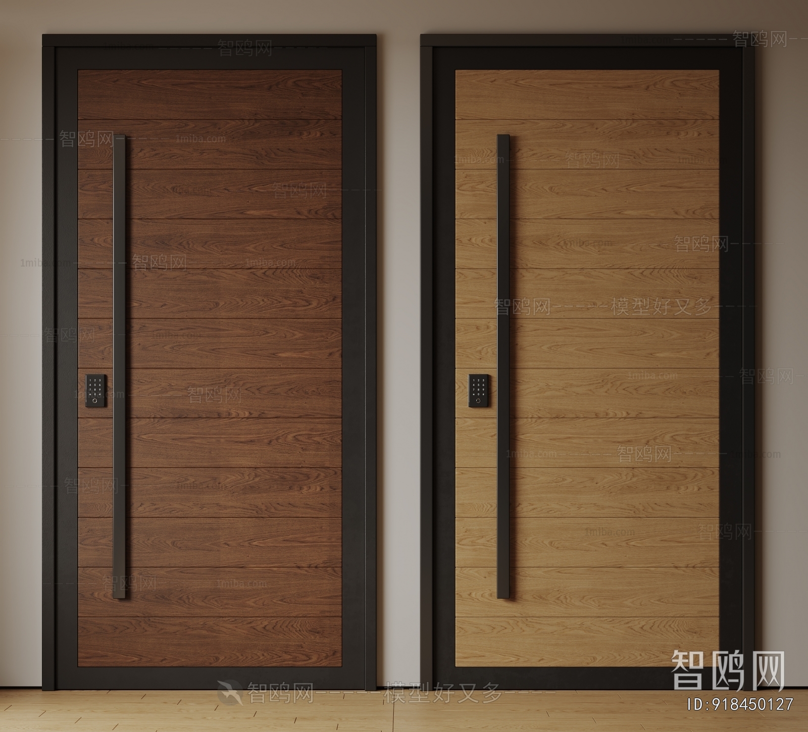 Modern Single Door