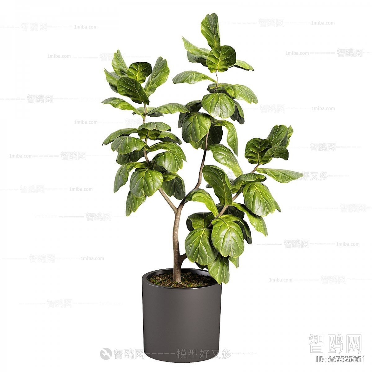 Modern Ground Green Plant Potted Plants
