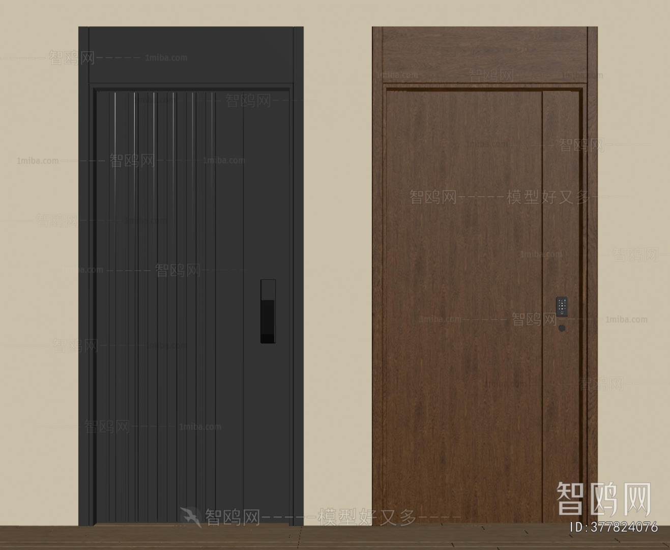 Modern Entrance Door