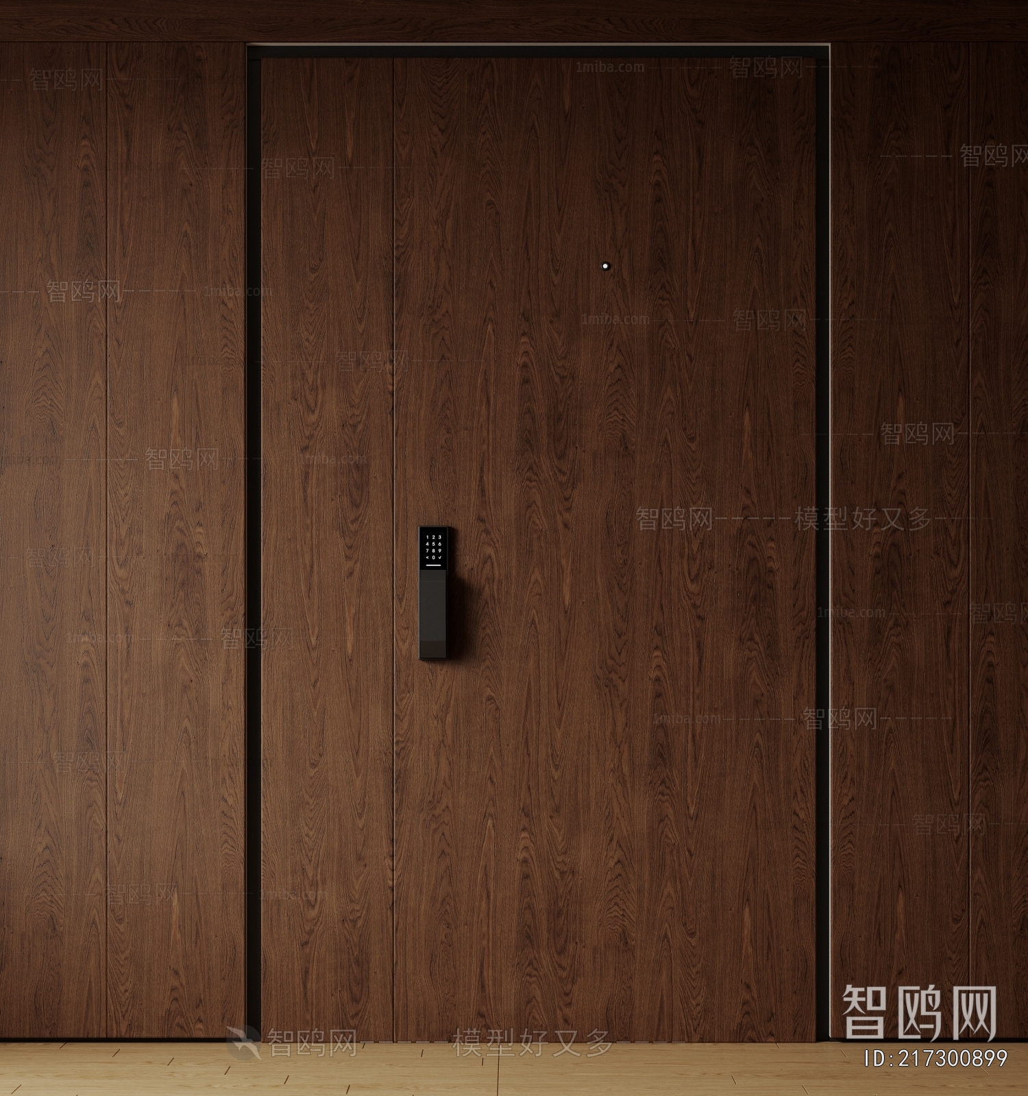 Modern Entrance Door