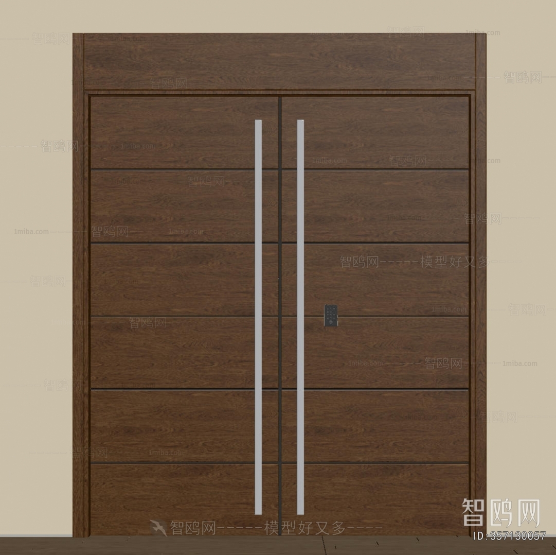 Modern Entrance Door