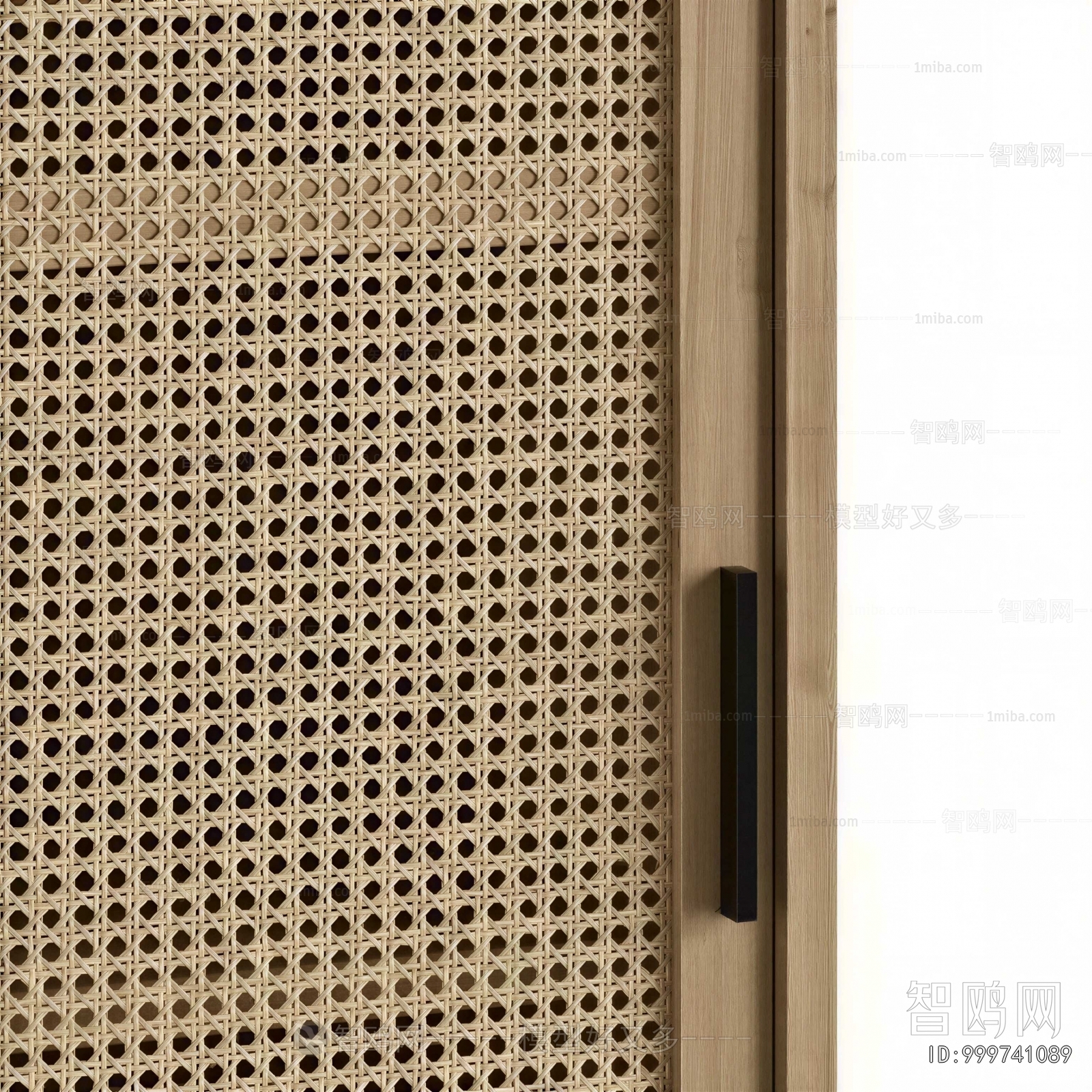 Modern Single Door