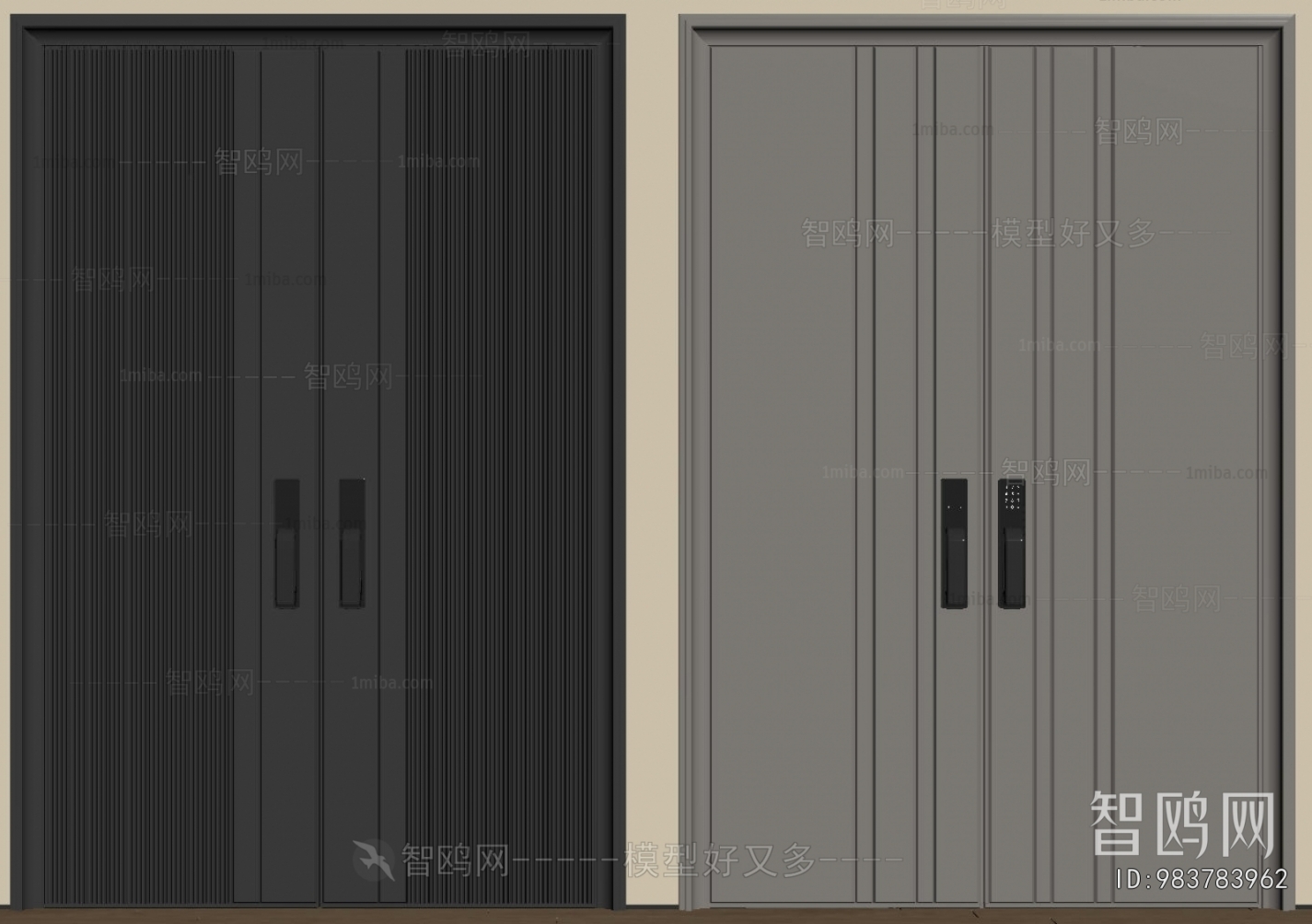 Modern Entrance Door