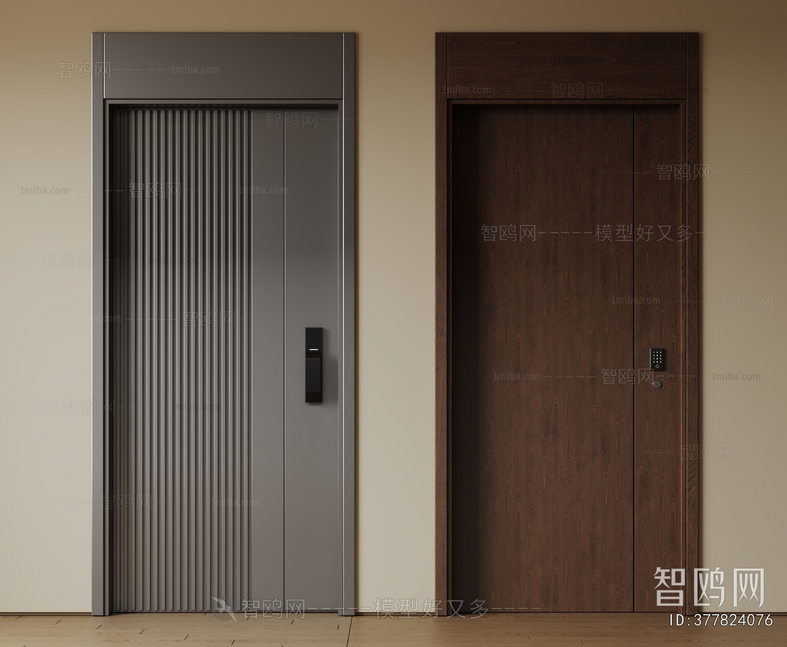 Modern Entrance Door