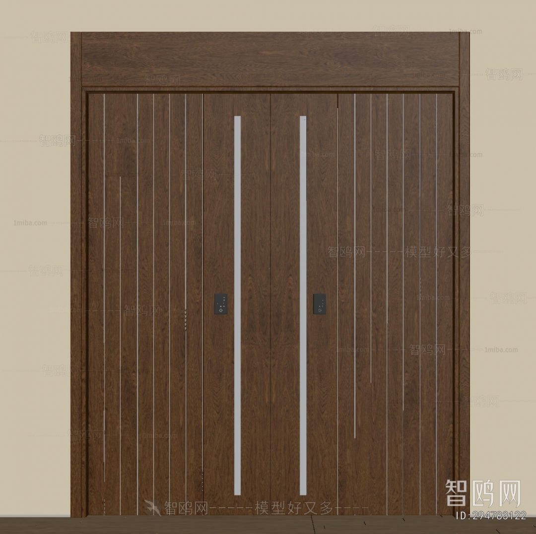 Modern Entrance Door