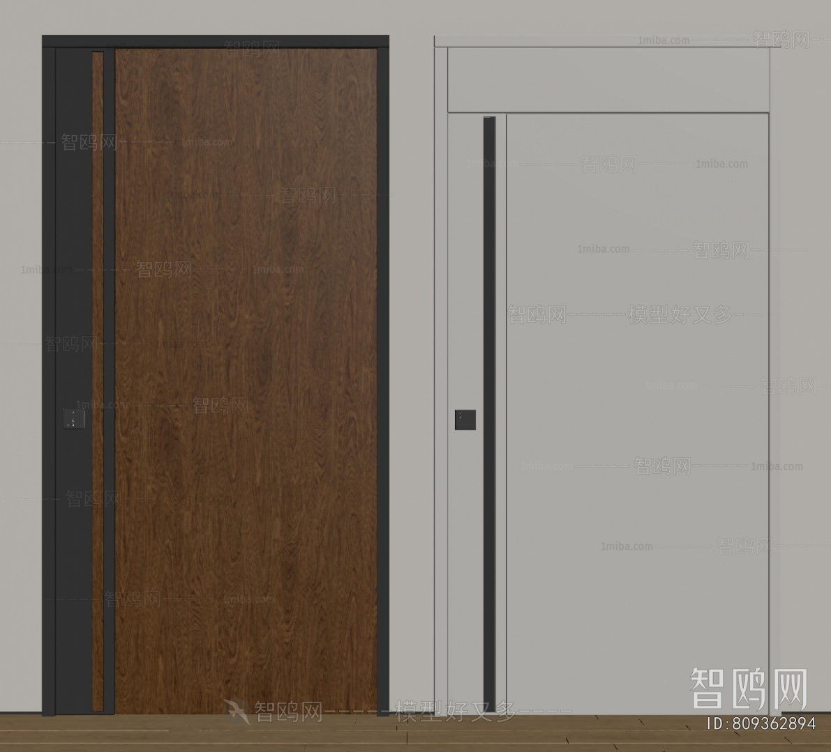 Modern Entrance Door