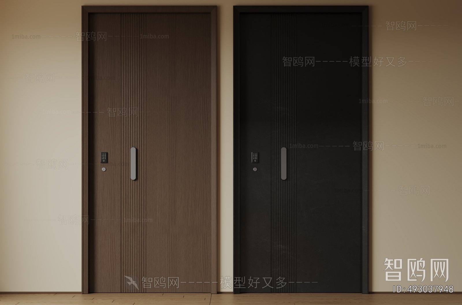 Modern Entrance Door