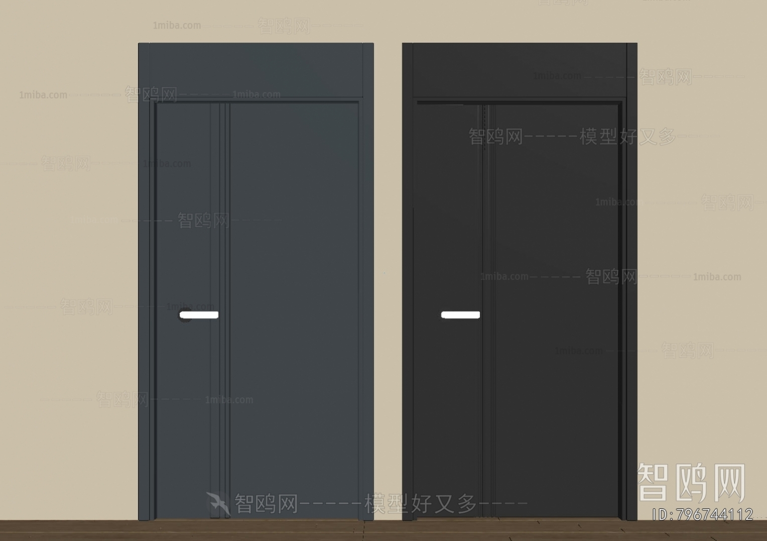 Modern Entrance Door