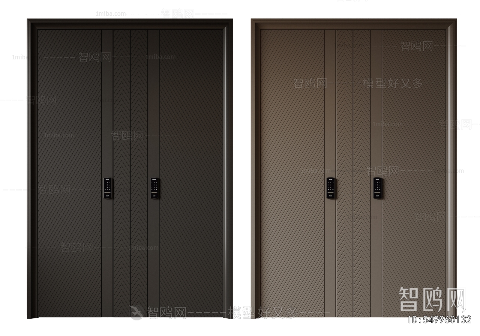 Modern Entrance Door