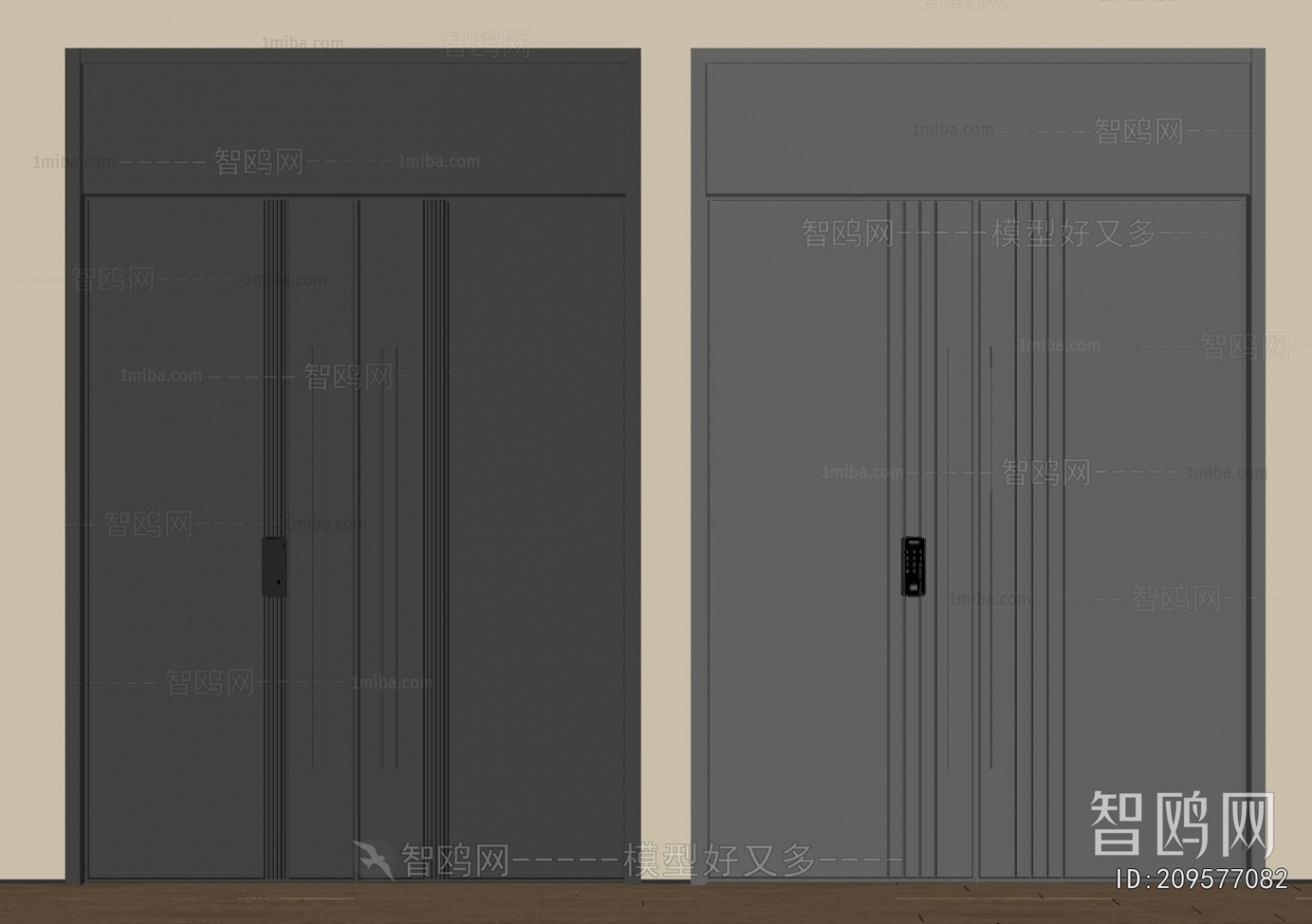 Modern Entrance Door