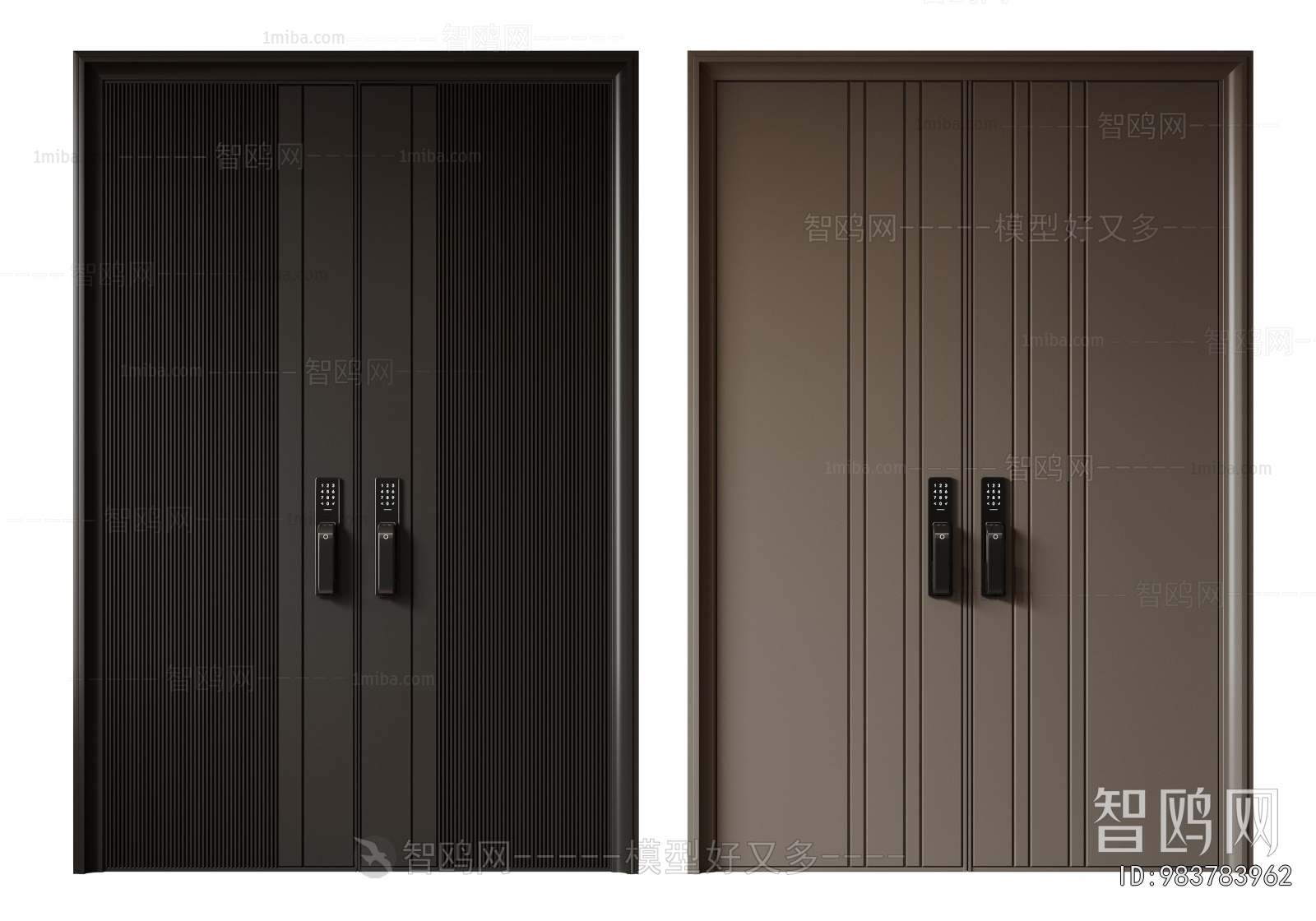 Modern Entrance Door