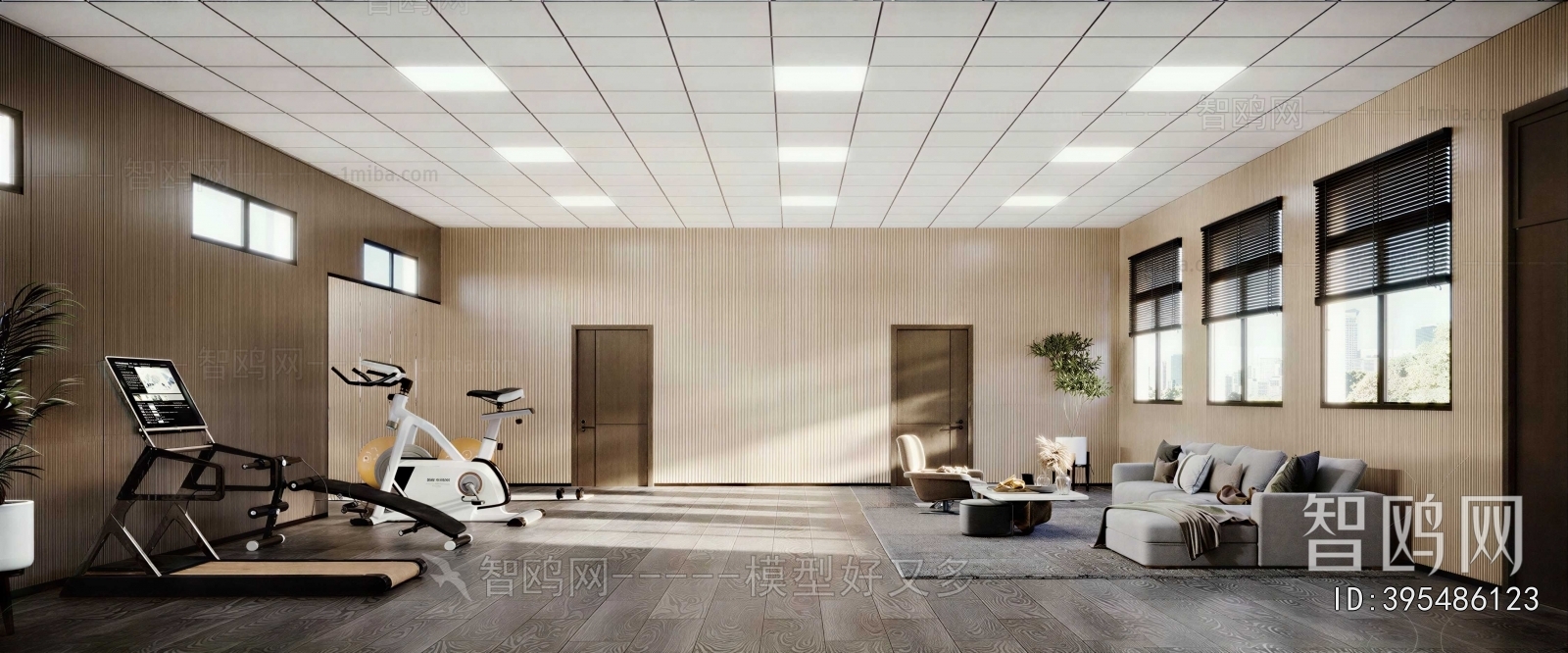 Modern Home Fitness Room