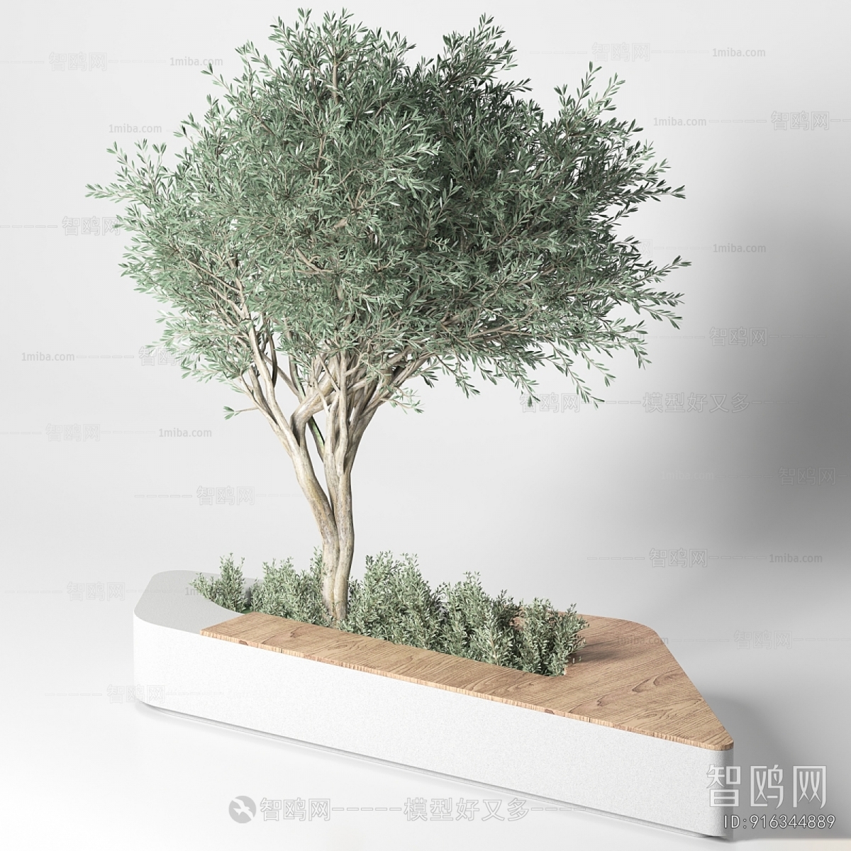 Modern Flower Bed, Flower Bowl, Flower Box