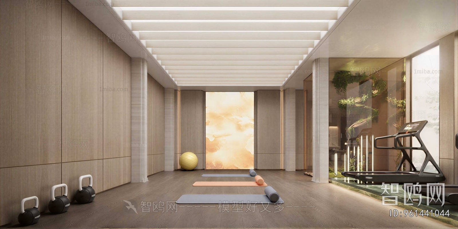 Modern Home Fitness Room