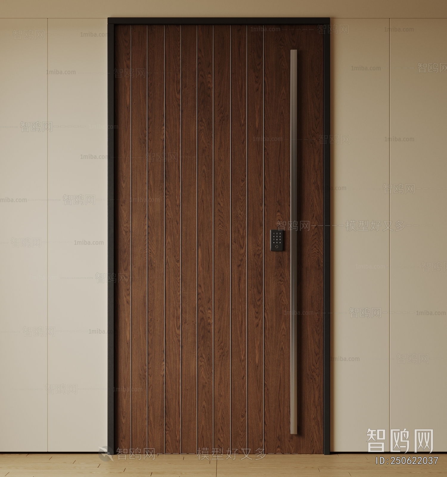 Modern Entrance Door