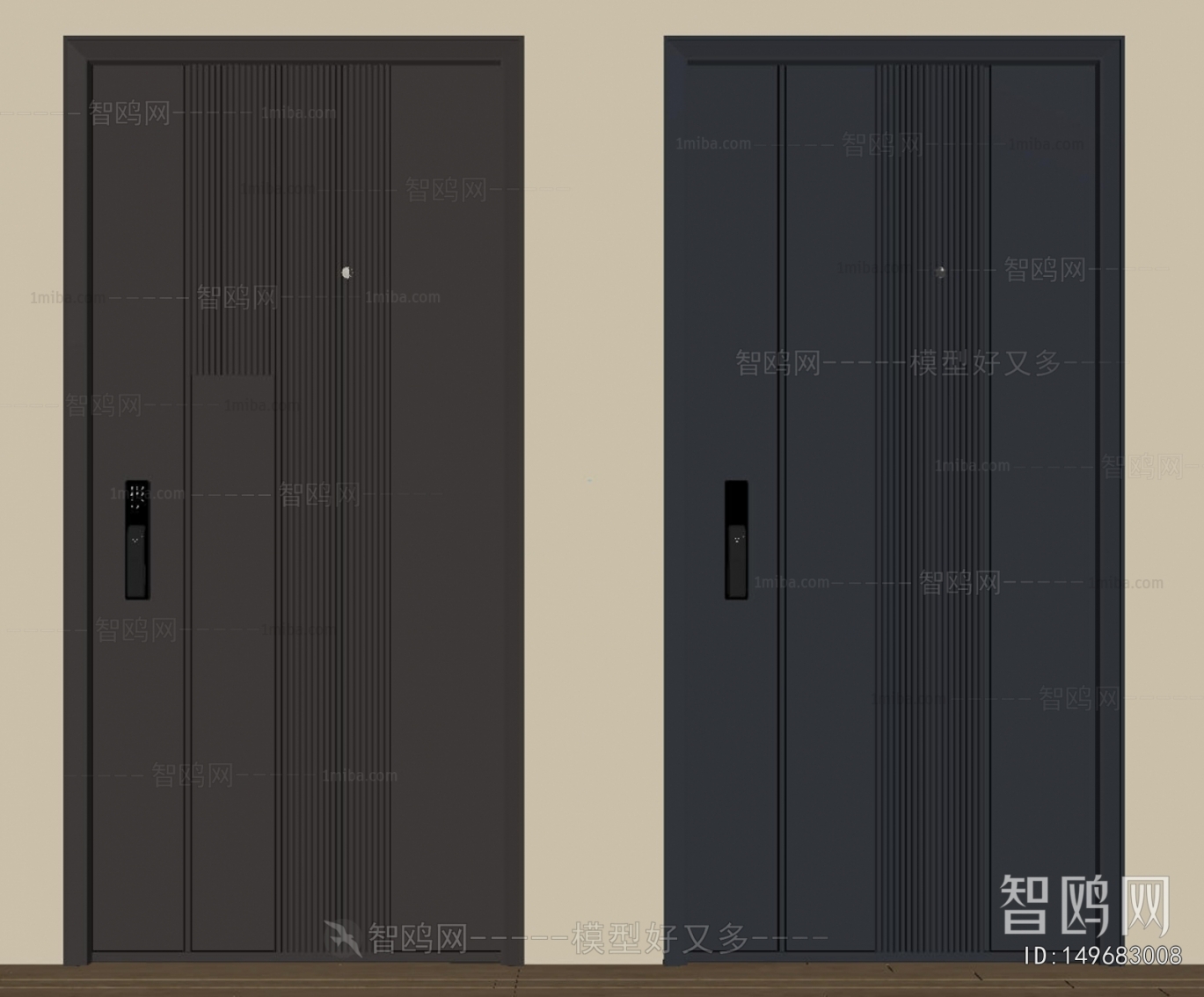 Modern Entrance Door