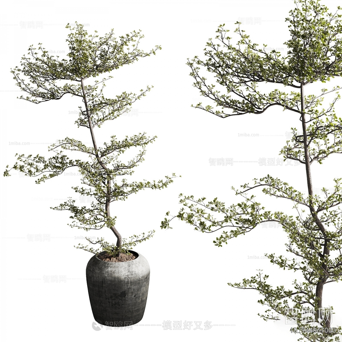 Wabi-sabi Style Ground Green Plant Potted Plants