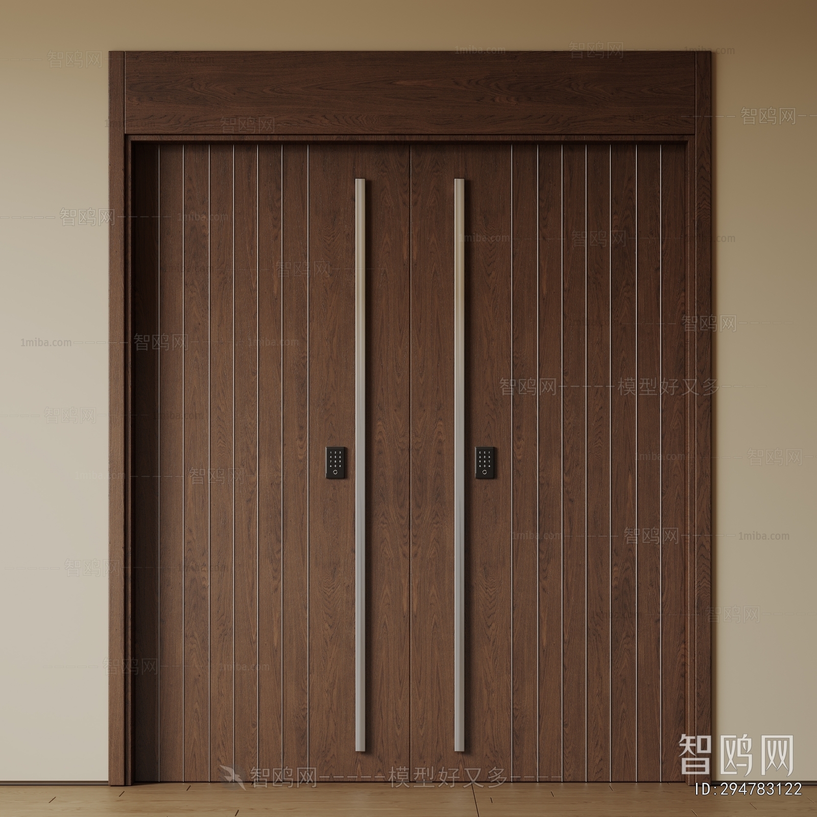 Modern Entrance Door