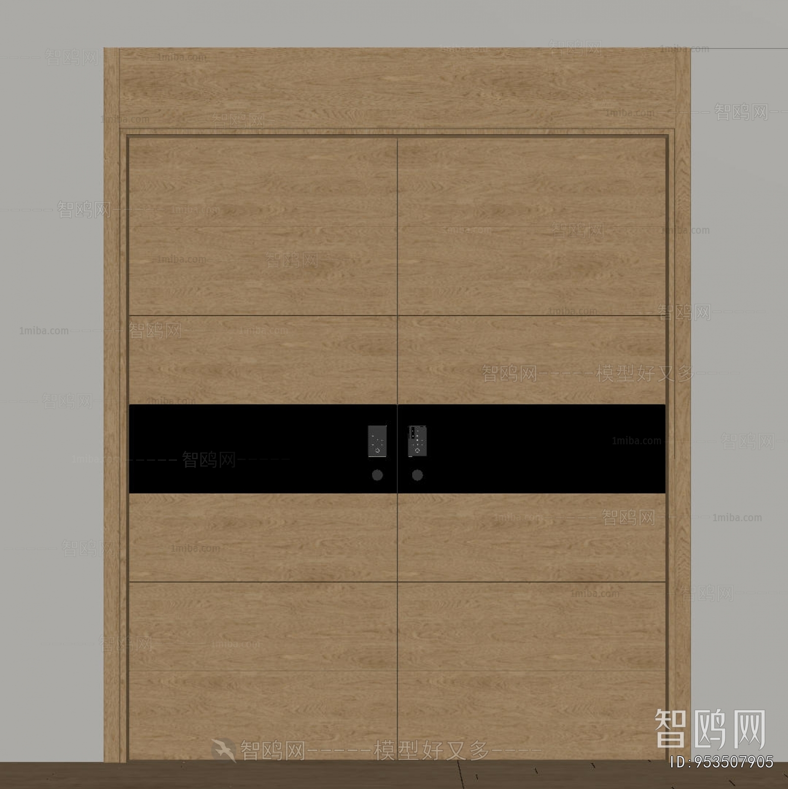 Modern Entrance Door