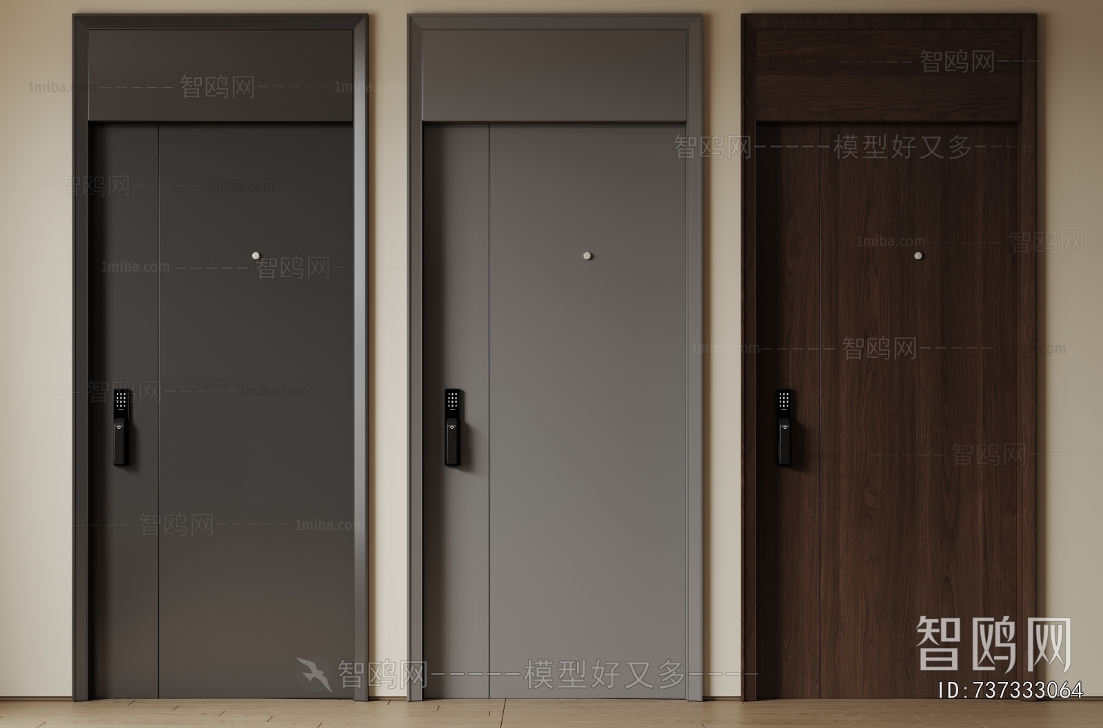 Modern Entrance Door