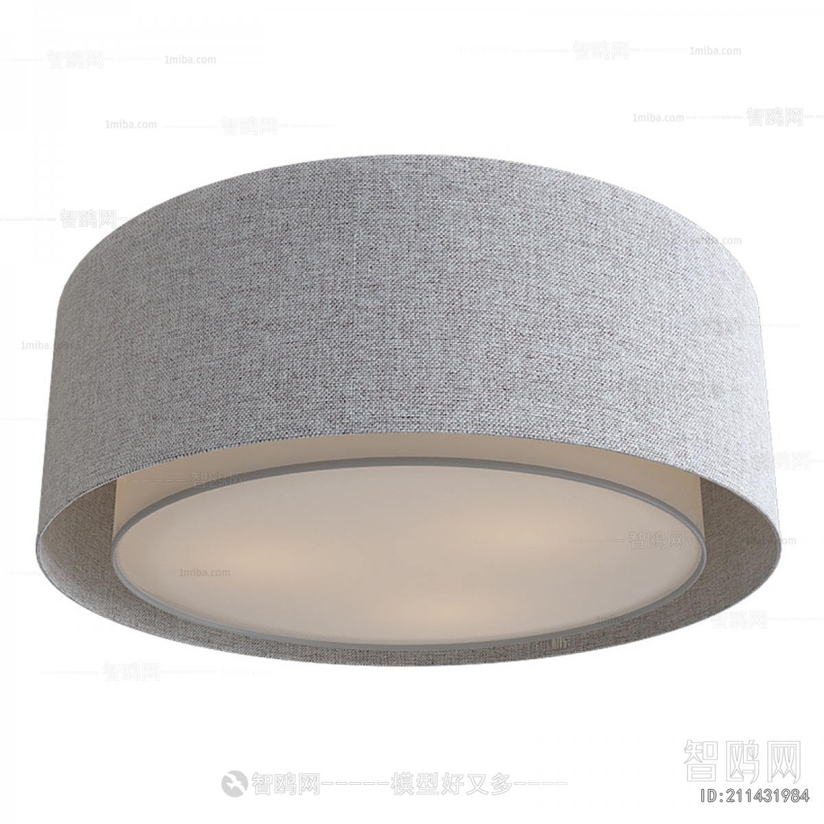 Modern Ceiling Ceiling Lamp
