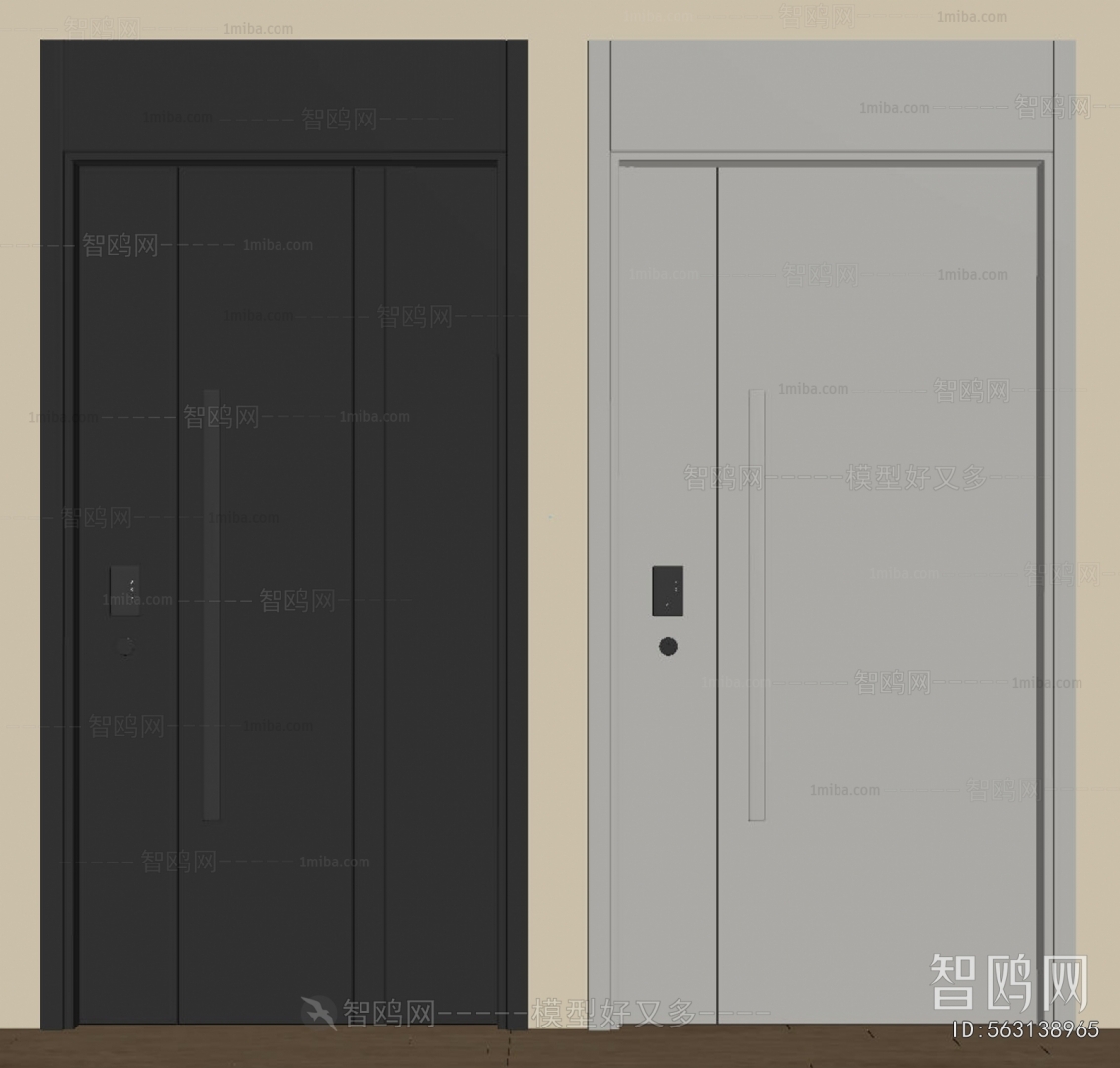 Modern Entrance Door