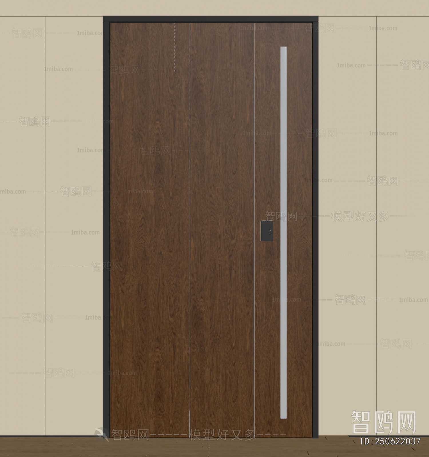 Modern Entrance Door
