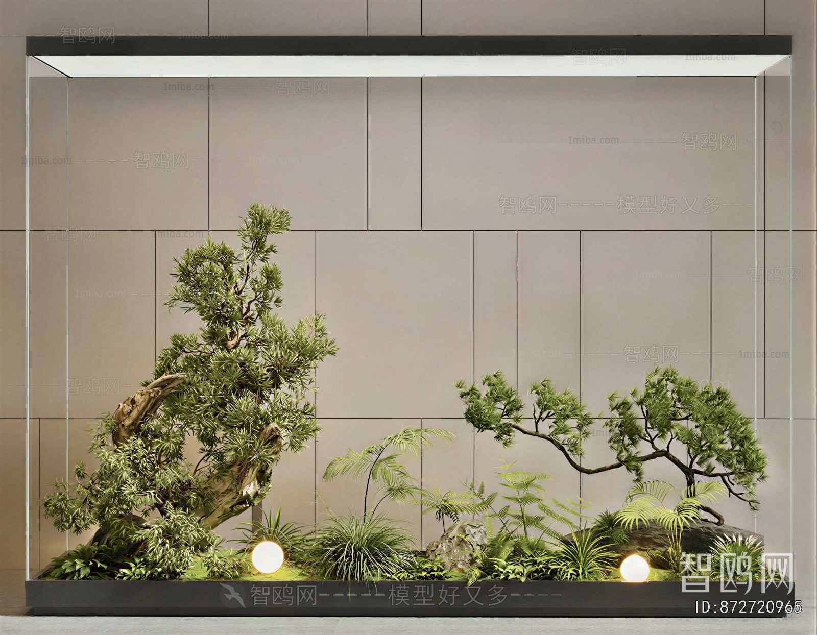 Modern Plant Landscaping