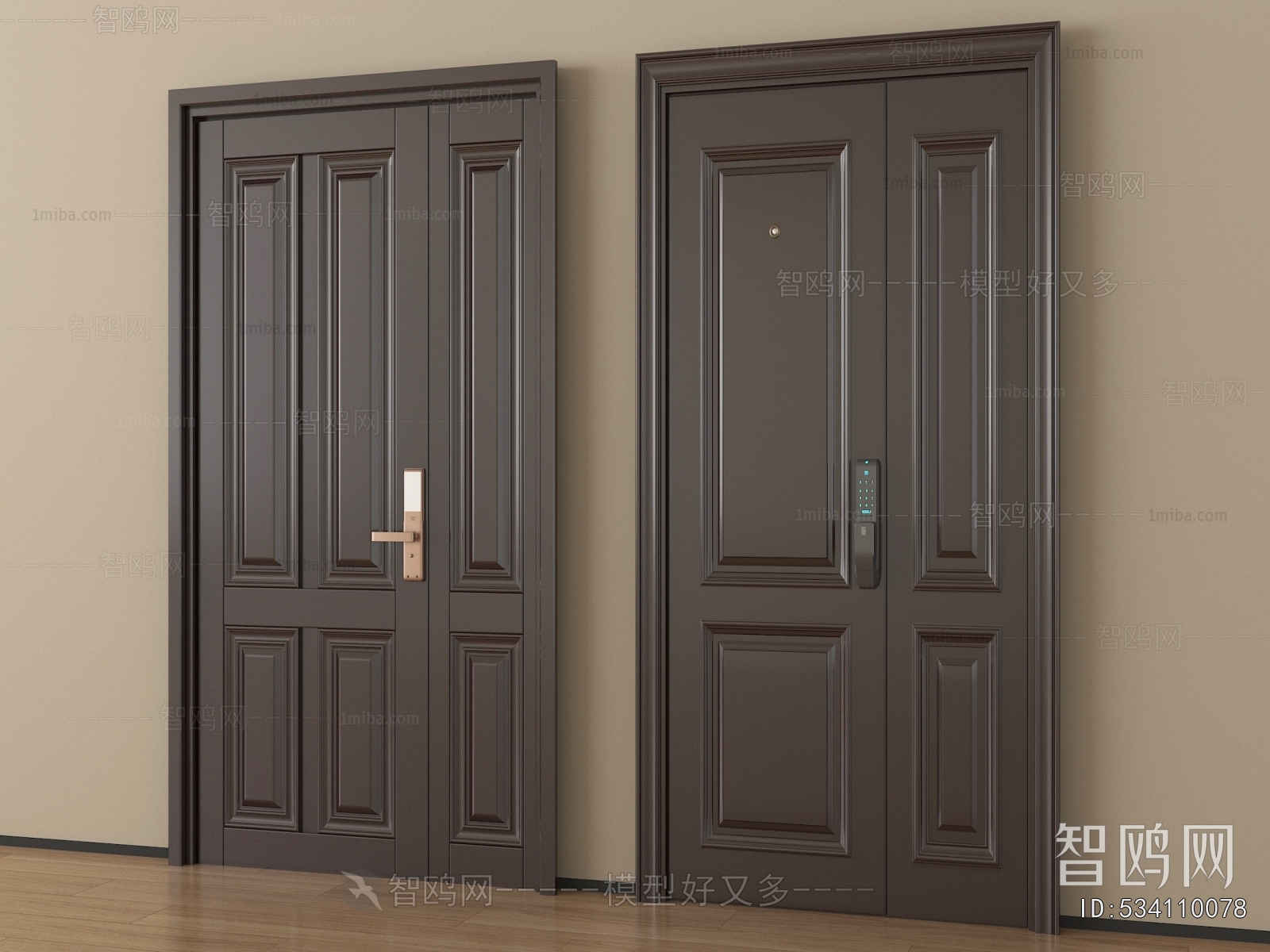 Modern Entrance Door