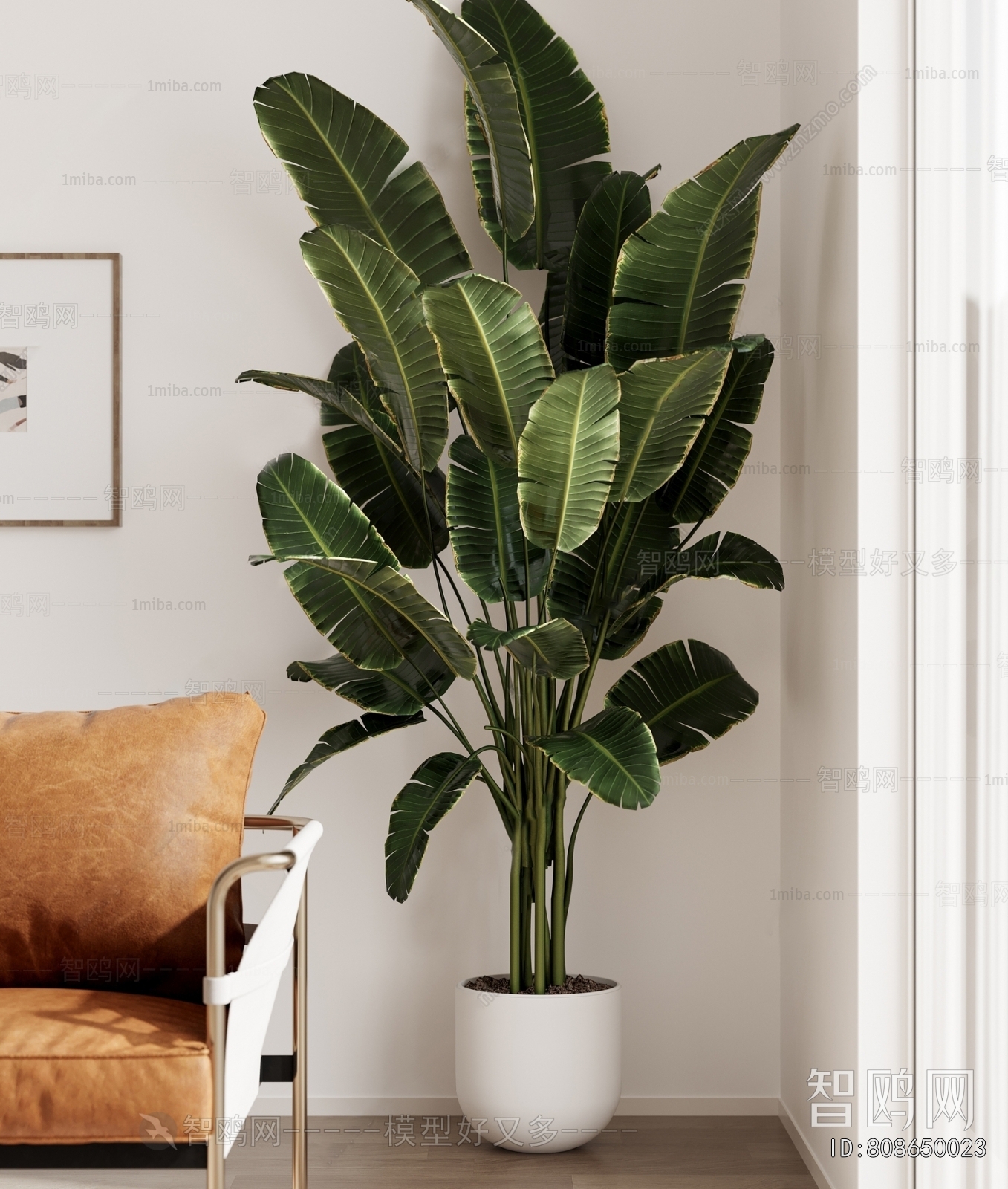 Modern Ground Green Plant Potted Plants