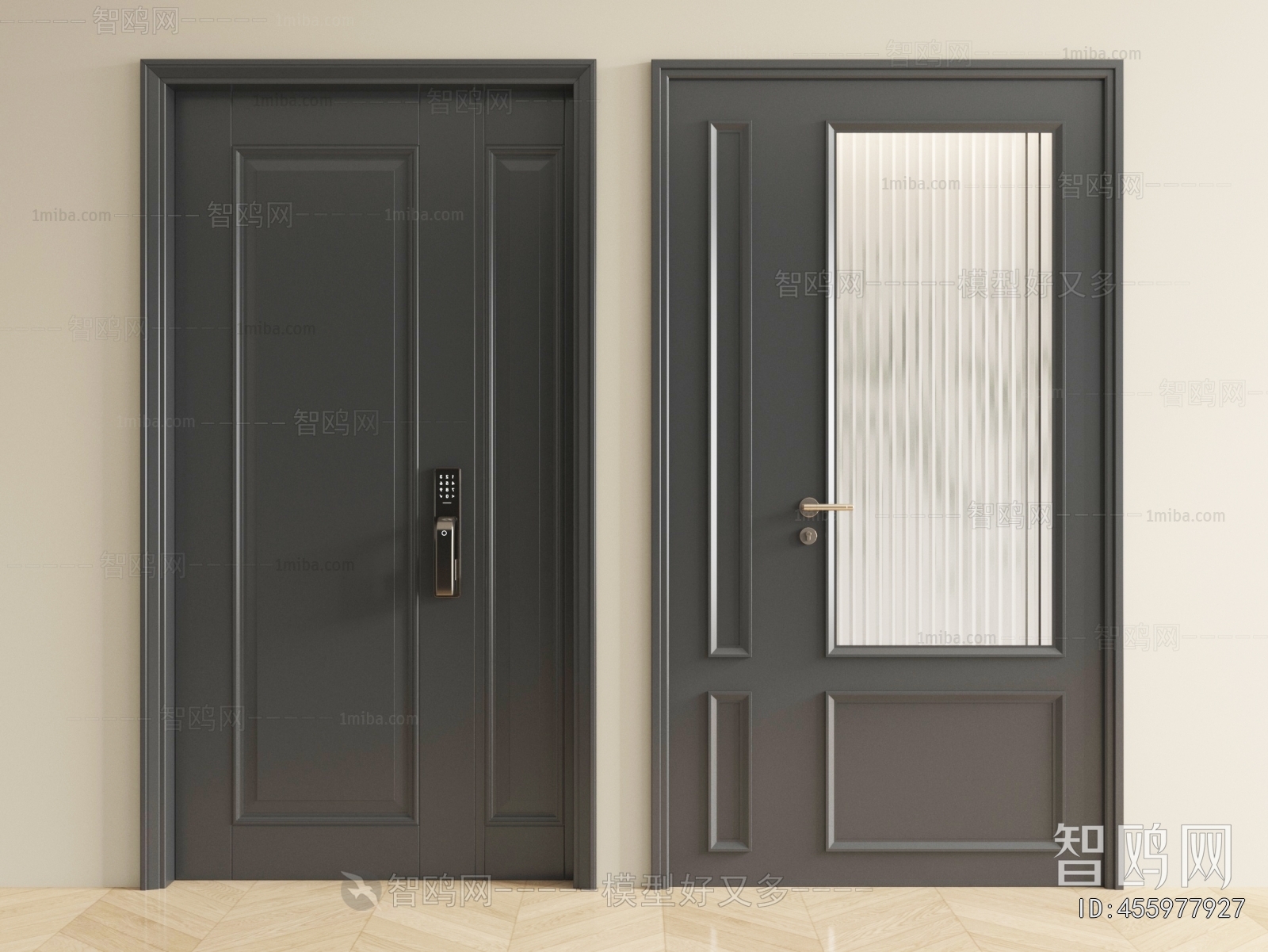 Modern Entrance Door