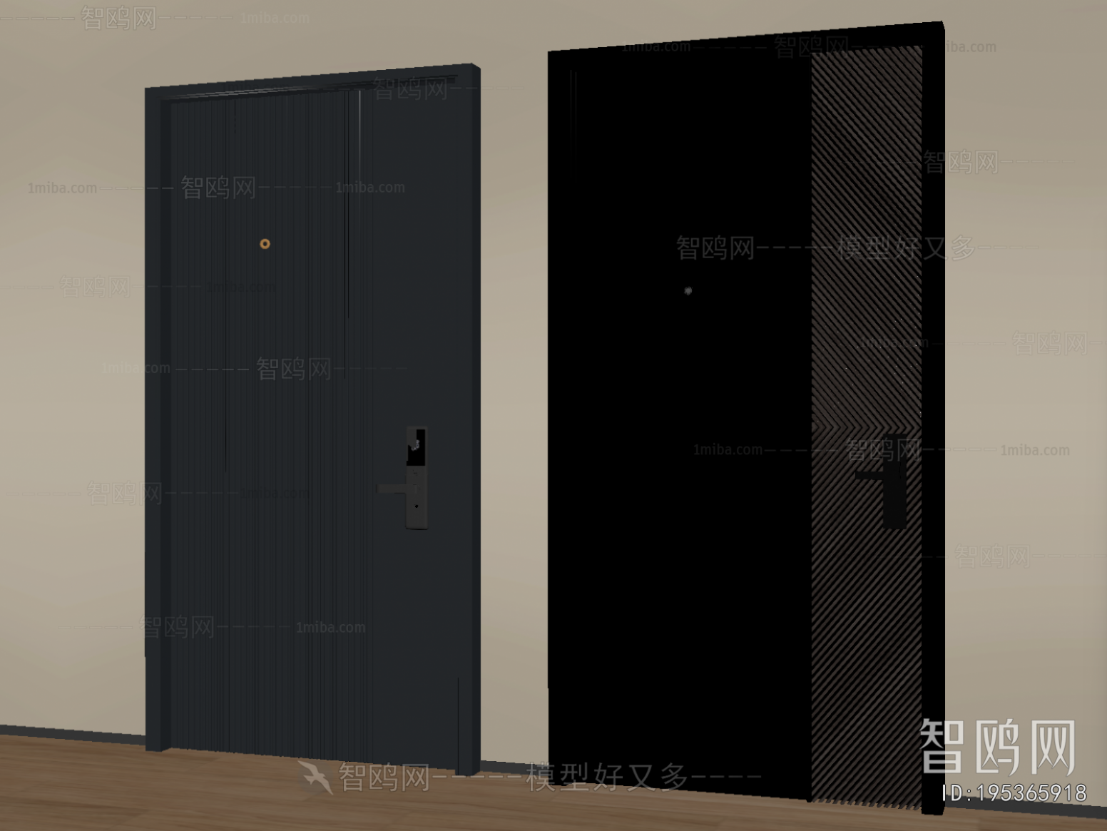 Modern Entrance Door