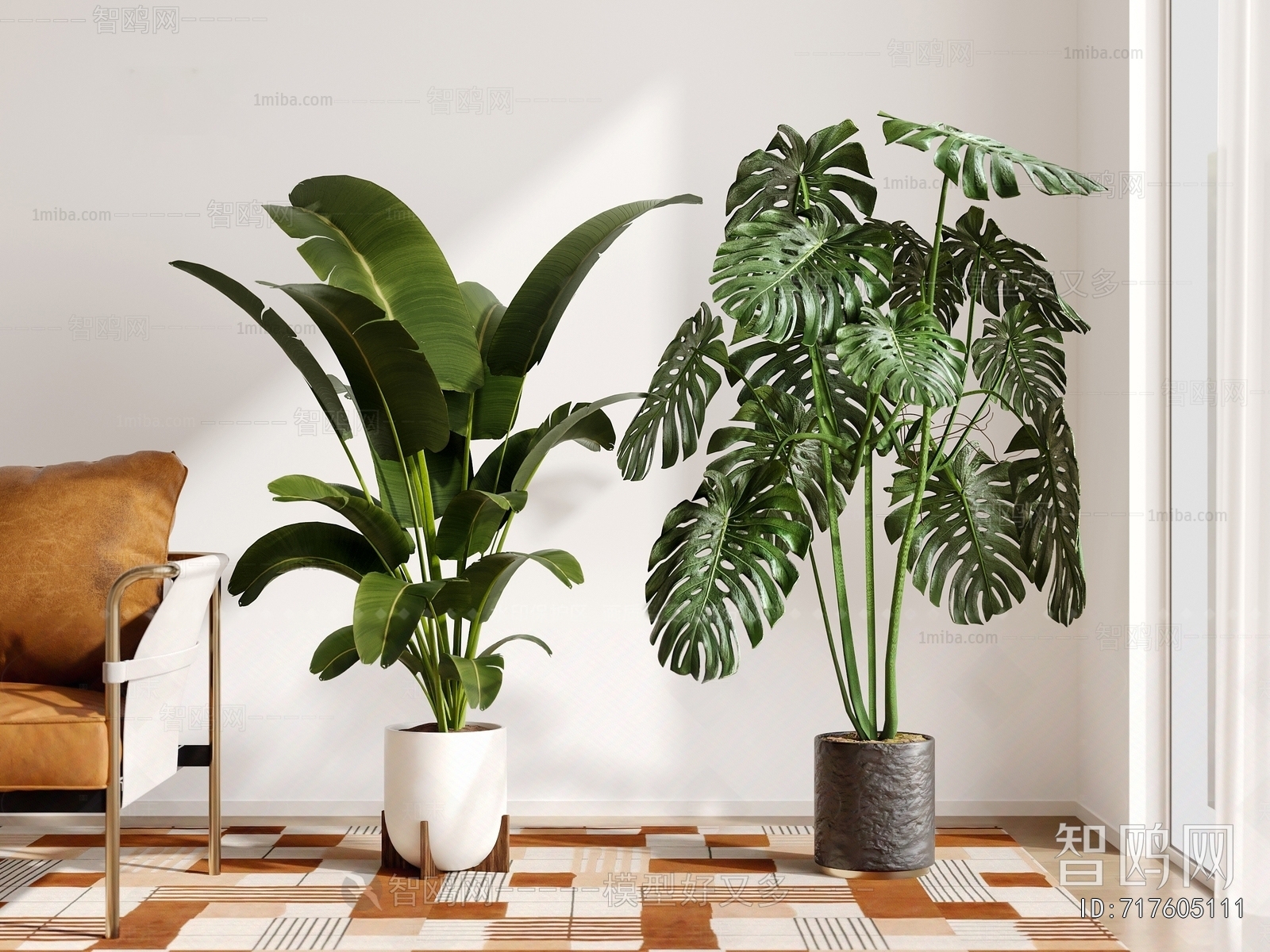 Modern Ground Green Plant Potted Plants