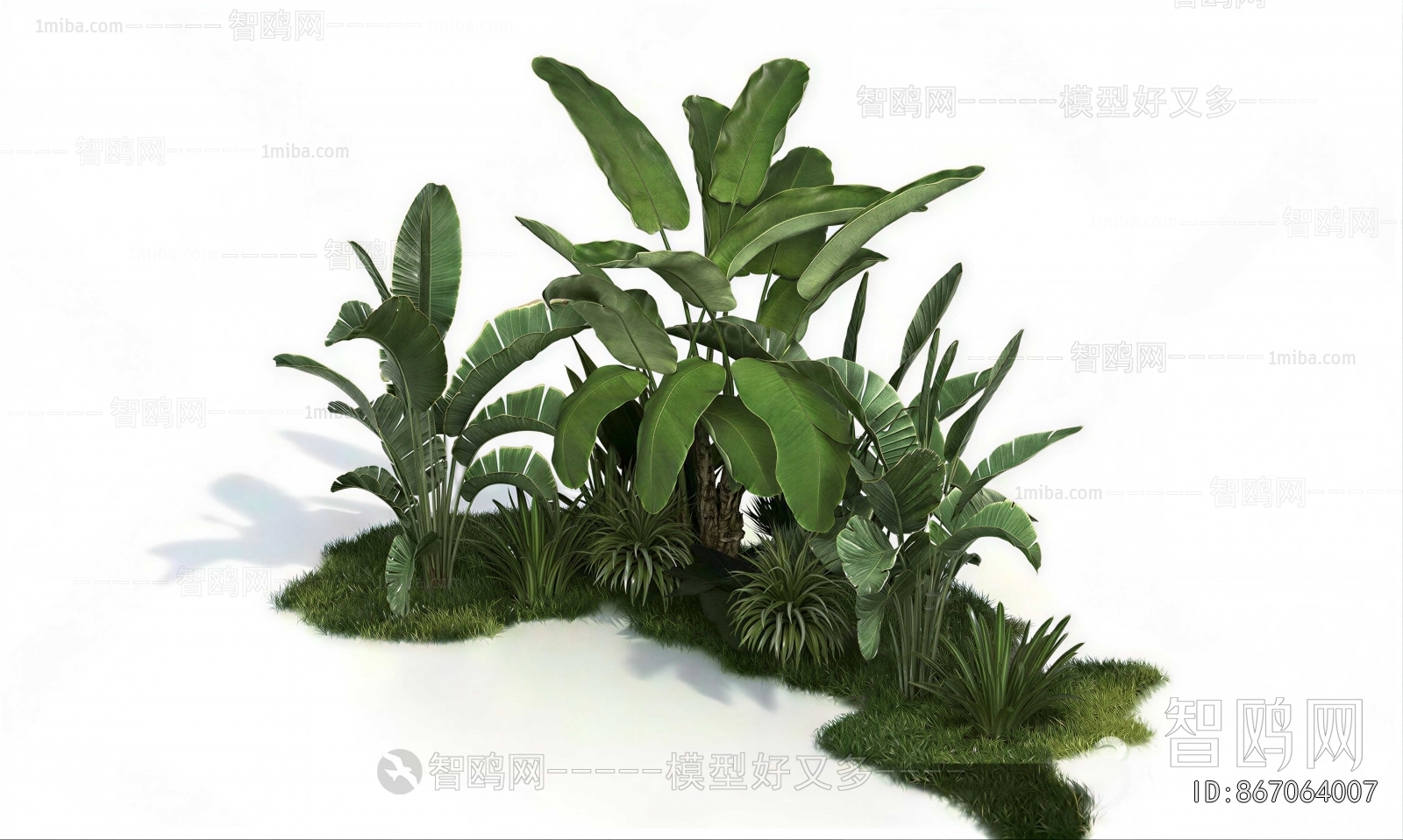 Modern Plant Landscaping