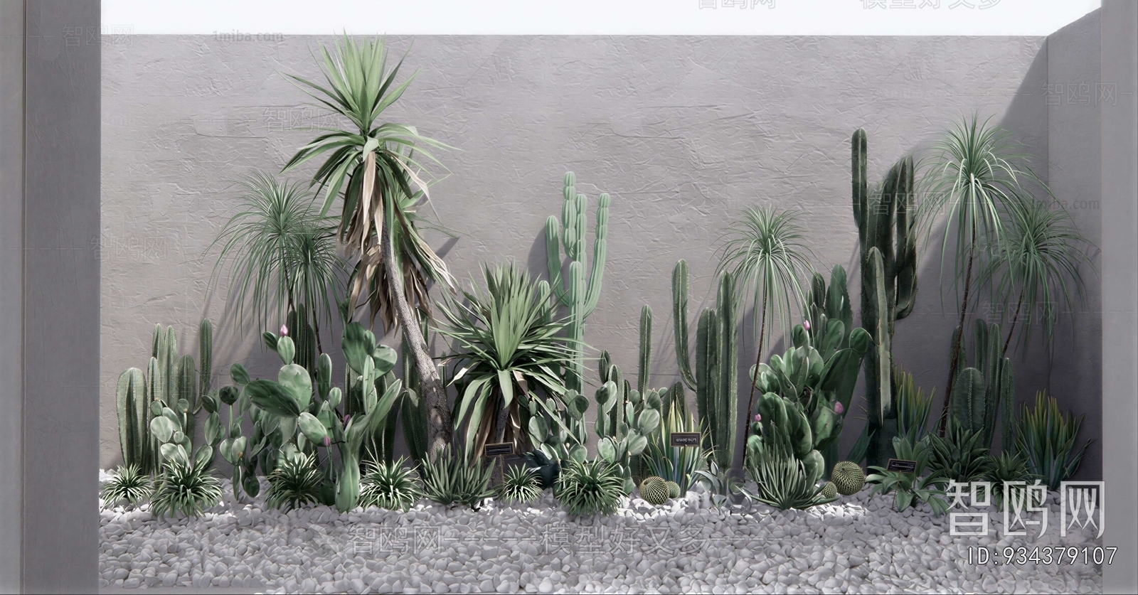 Modern Plant Landscaping