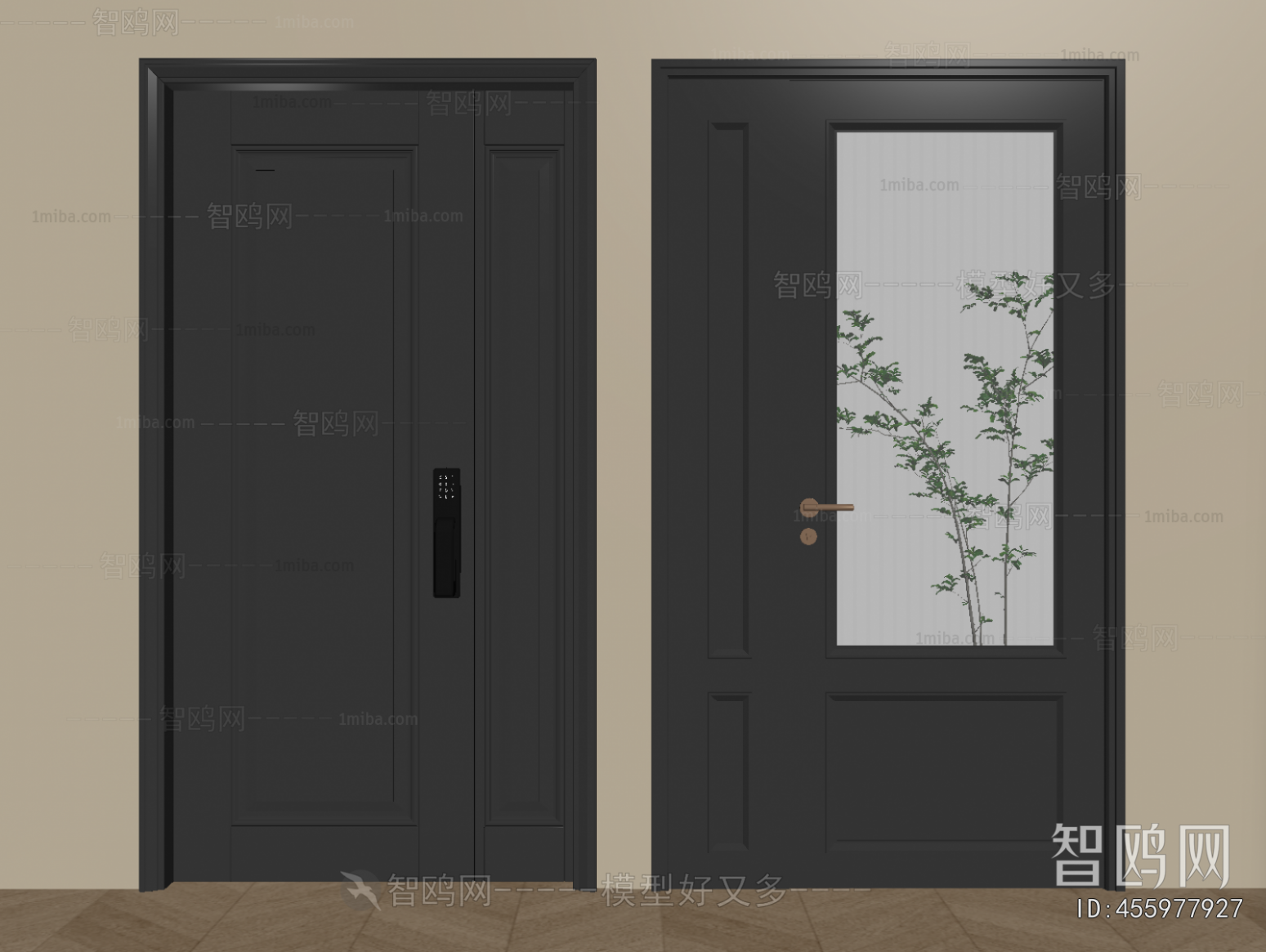 Modern Entrance Door