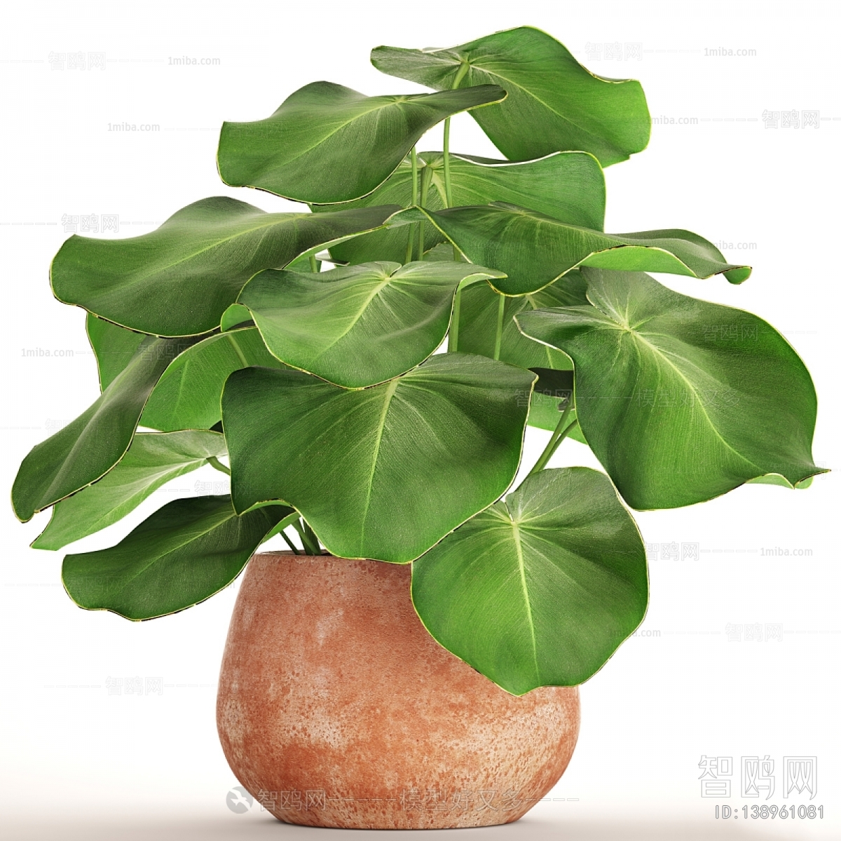 Modern Potted Green Plant