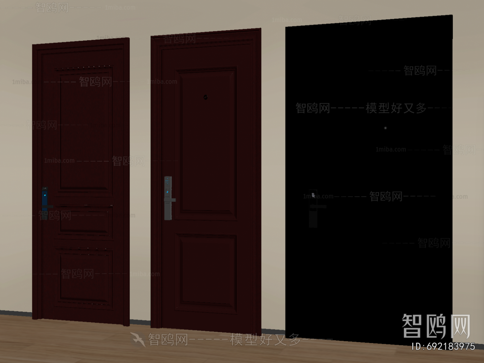 Modern Entrance Door