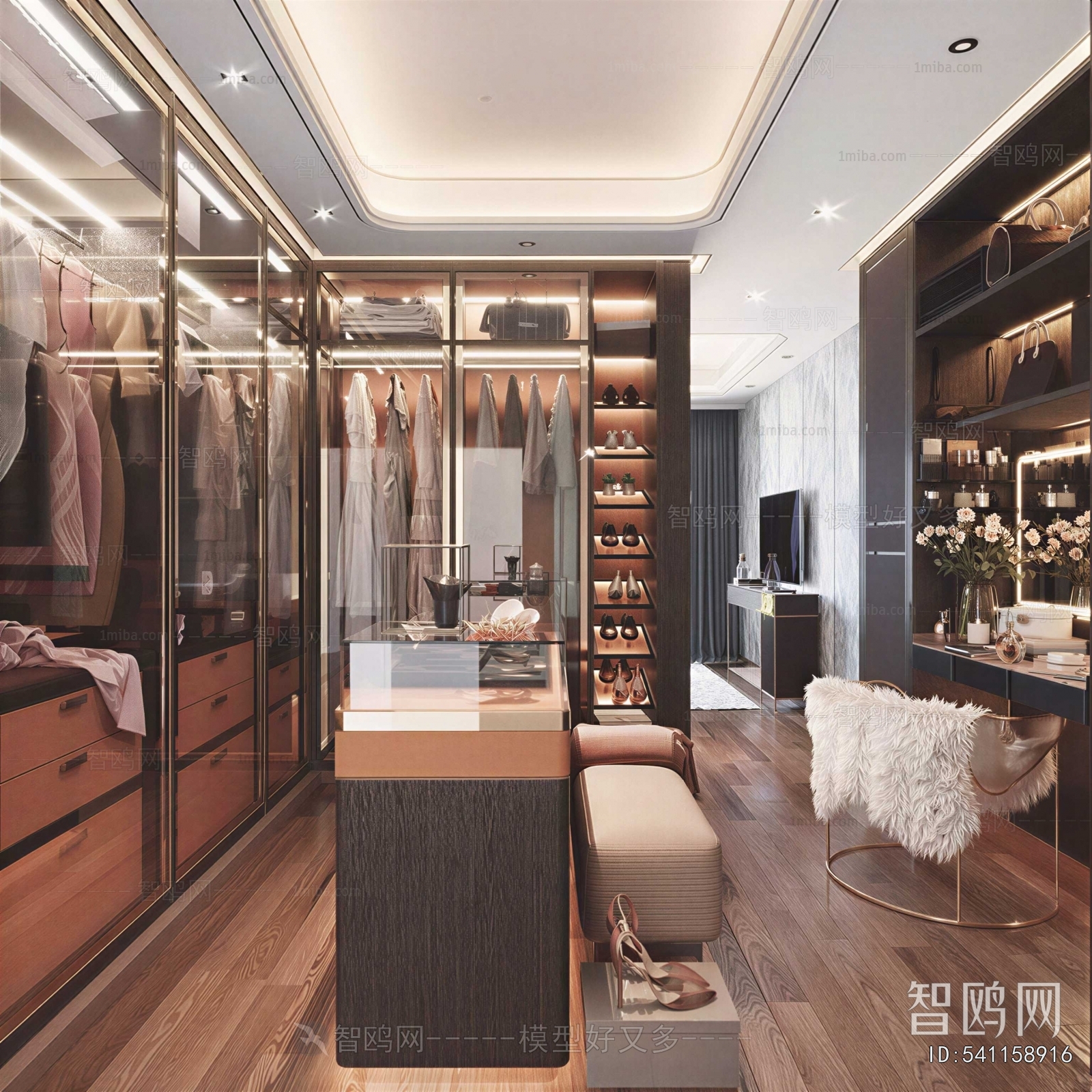 Modern Clothes Storage Area