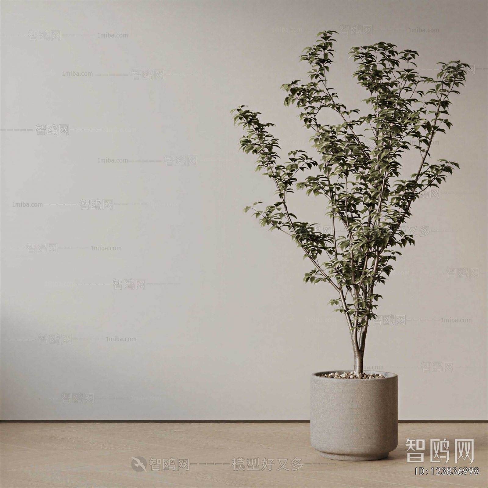 Modern Ground Green Plant Potted Plants