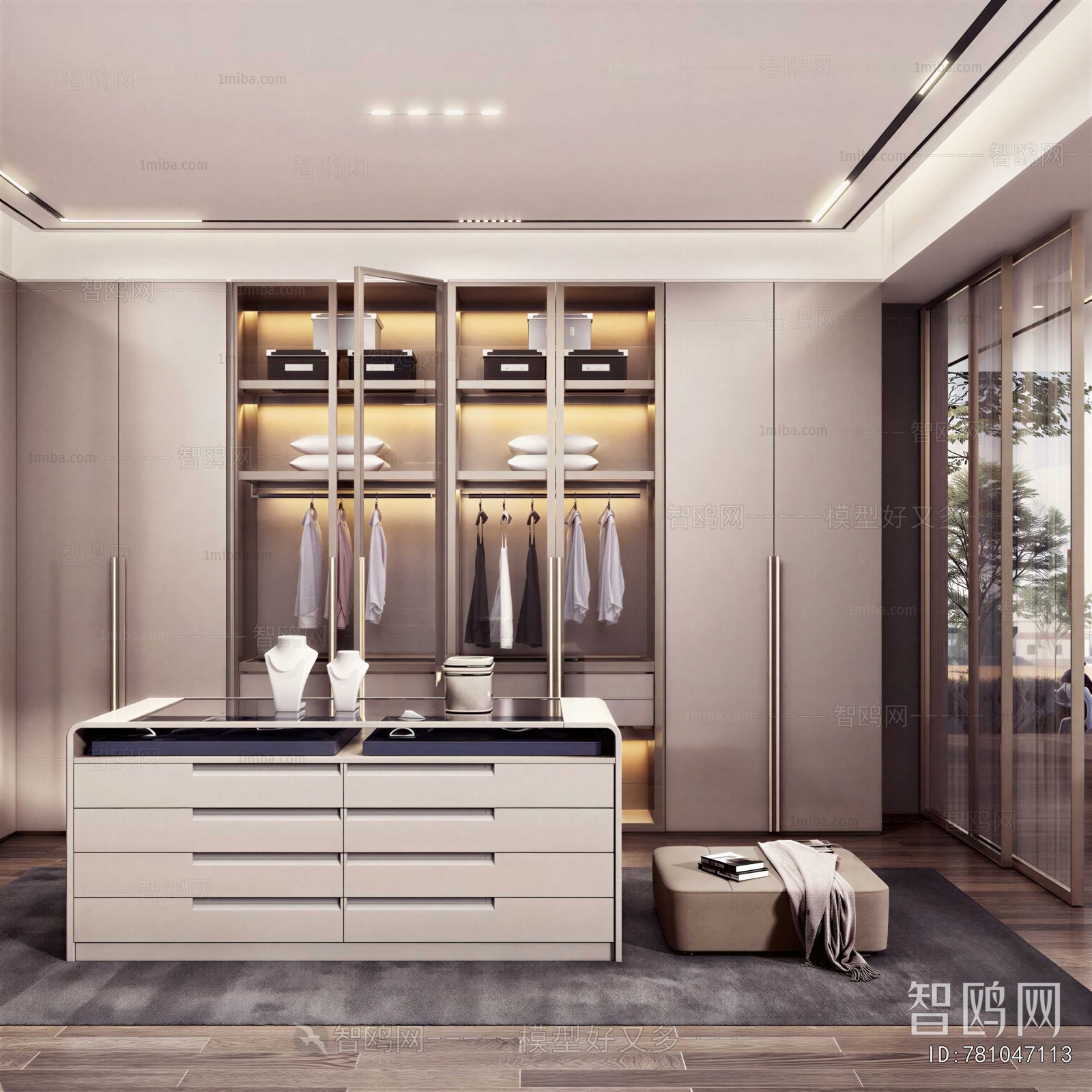 Modern Clothes Storage Area