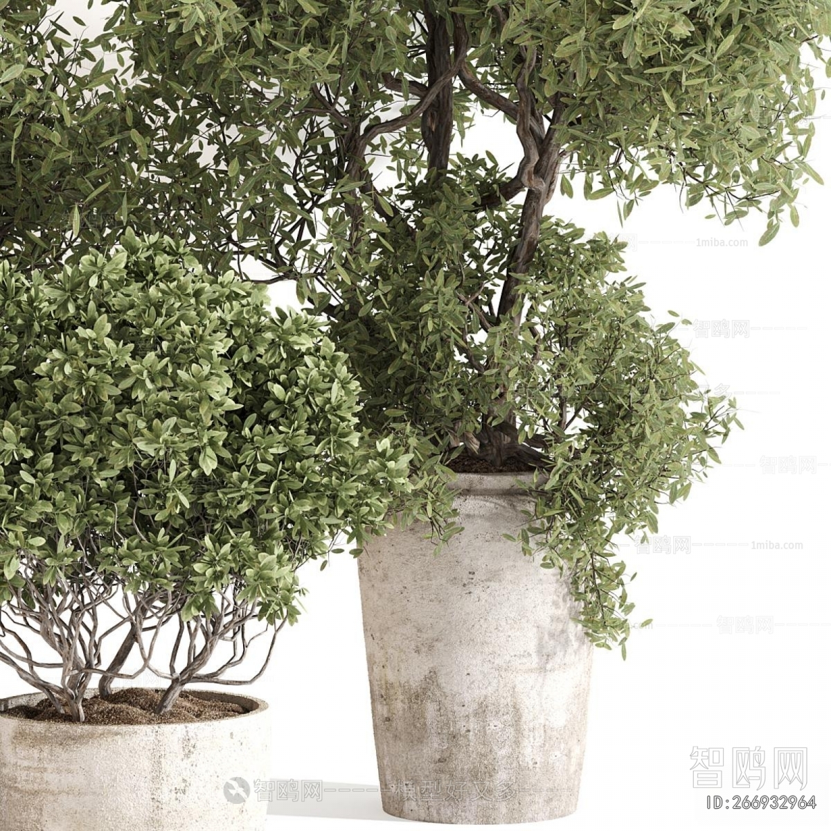 Modern Ground Green Plant Potted Plants