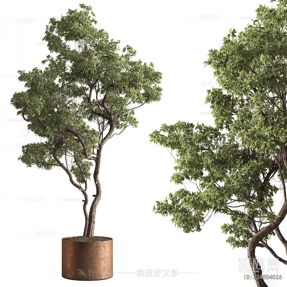 Modern Ground Green Plant Potted Plants