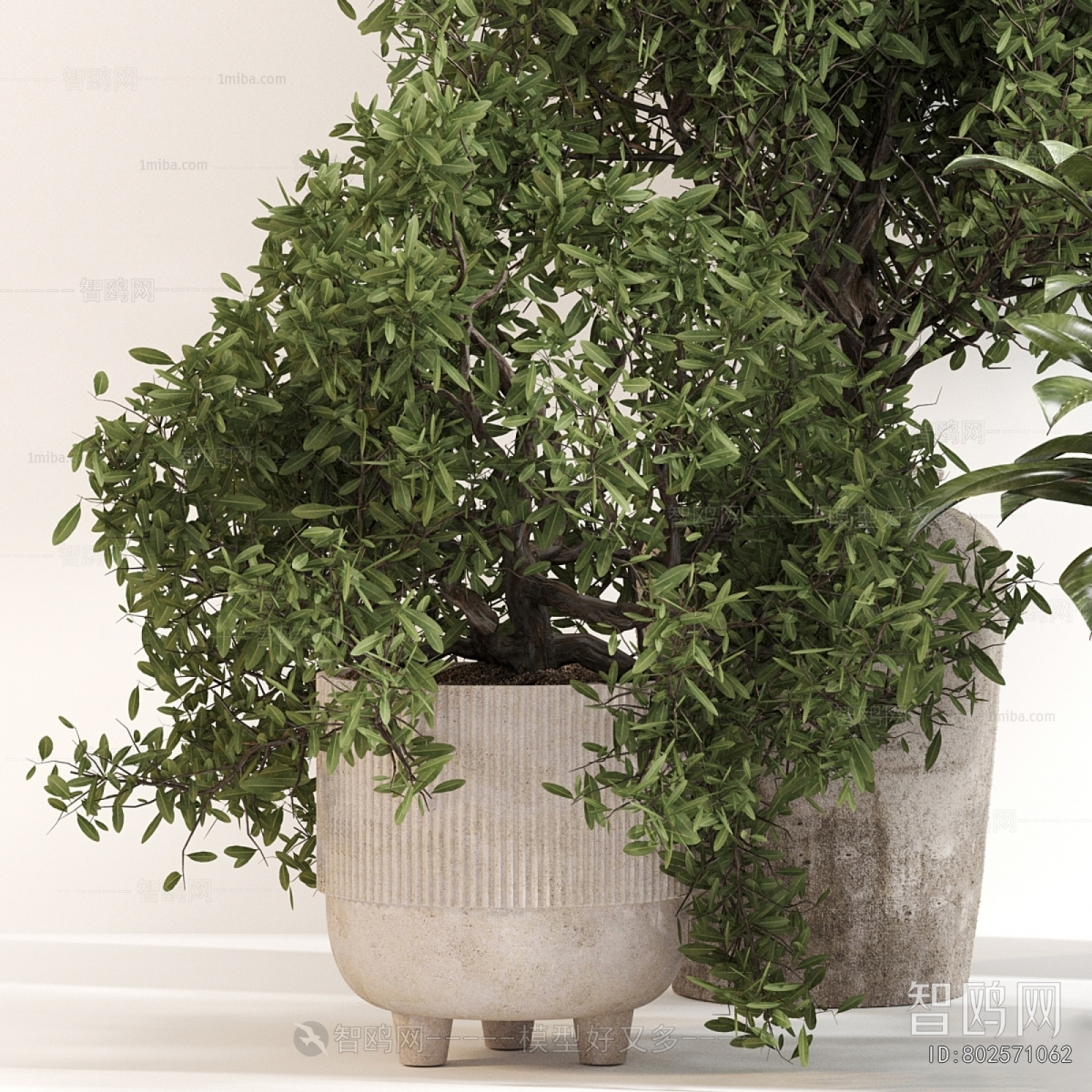 Modern Ground Green Plant Potted Plants