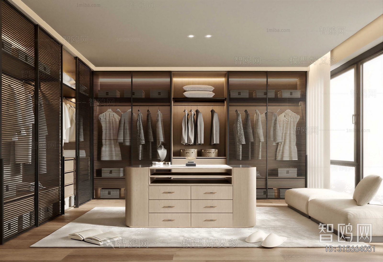 Modern Clothes Storage Area