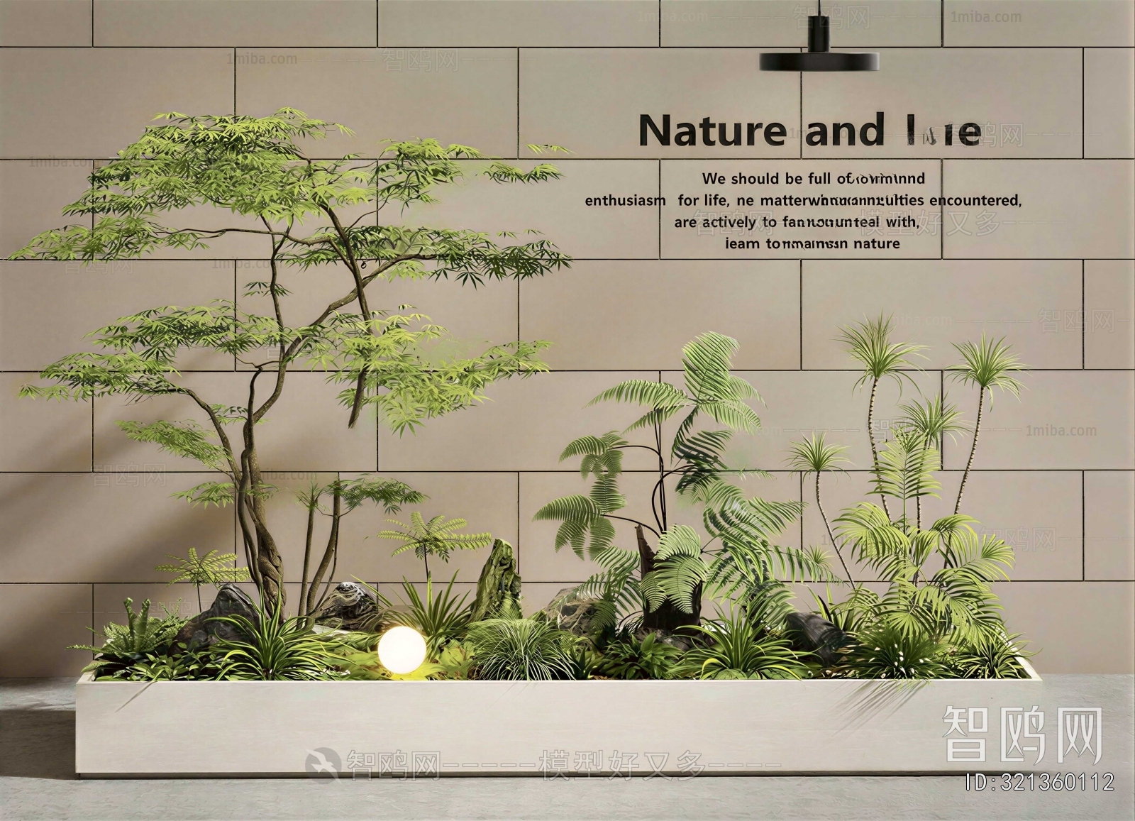 Modern Plant Landscaping